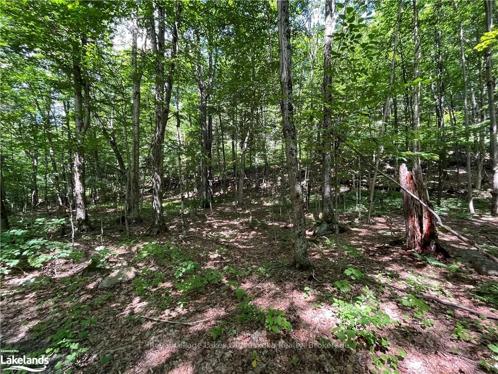 Lot 134 Brennan Circle Property Photo 9