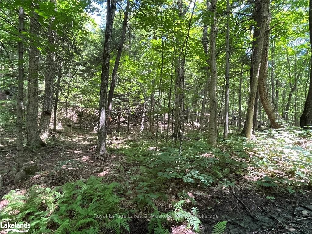 Lot 134 Brennan Circle Property Photo 10