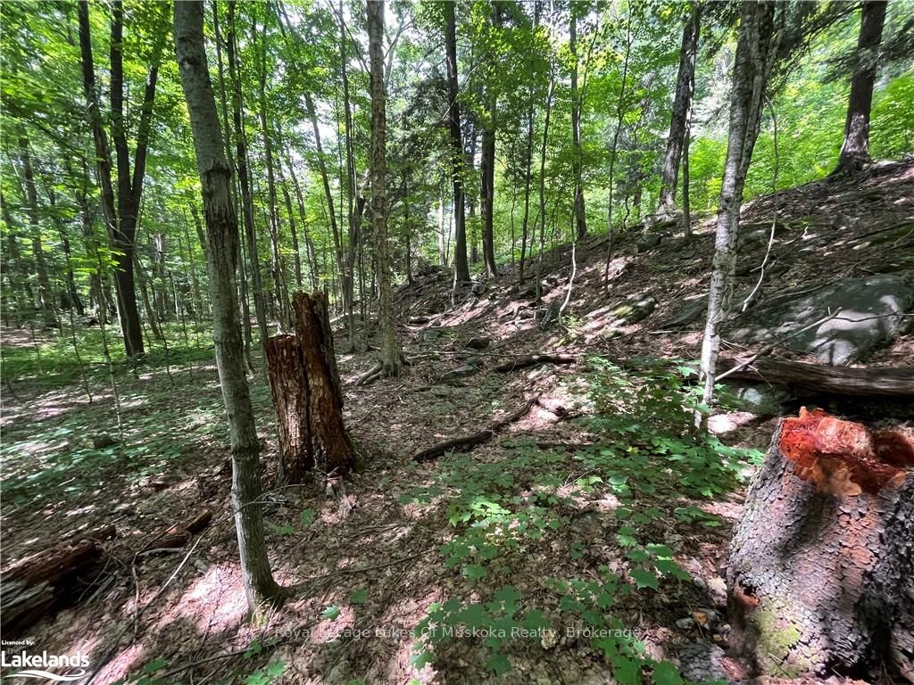 Lot 134 Brennan Circle Property Photo 11