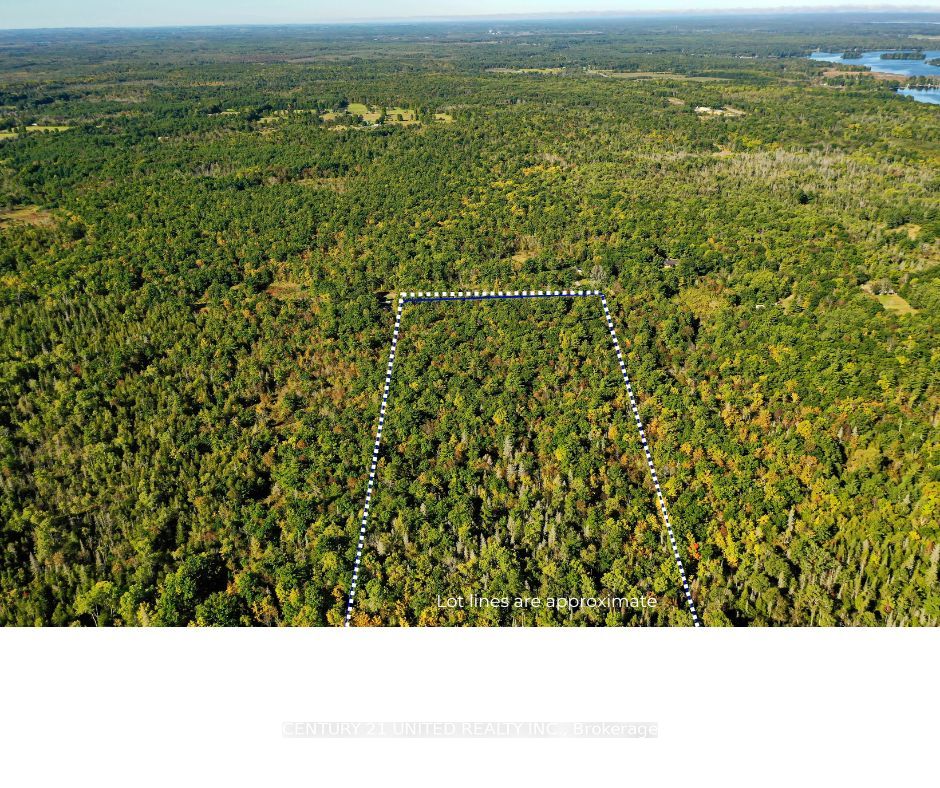 0 Mccleary Road Property Photo