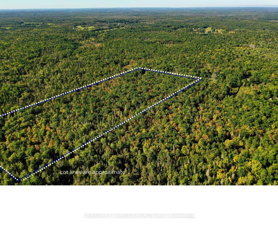0 Mccleary Road Property Photo 2