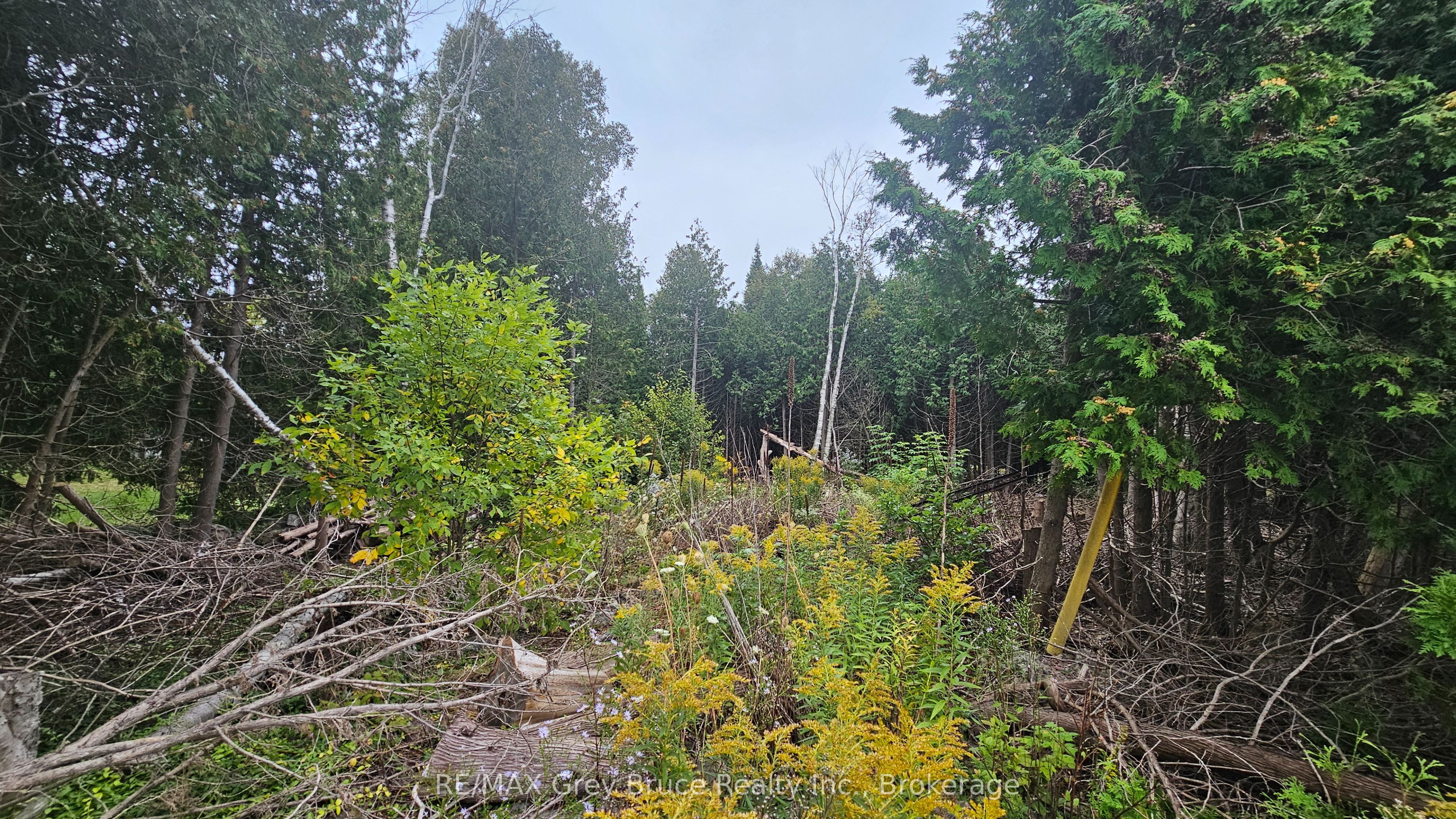 Pt Lt 23 Con 2 Wbr Pt 1 Highway 6 Highway Property Photo 2