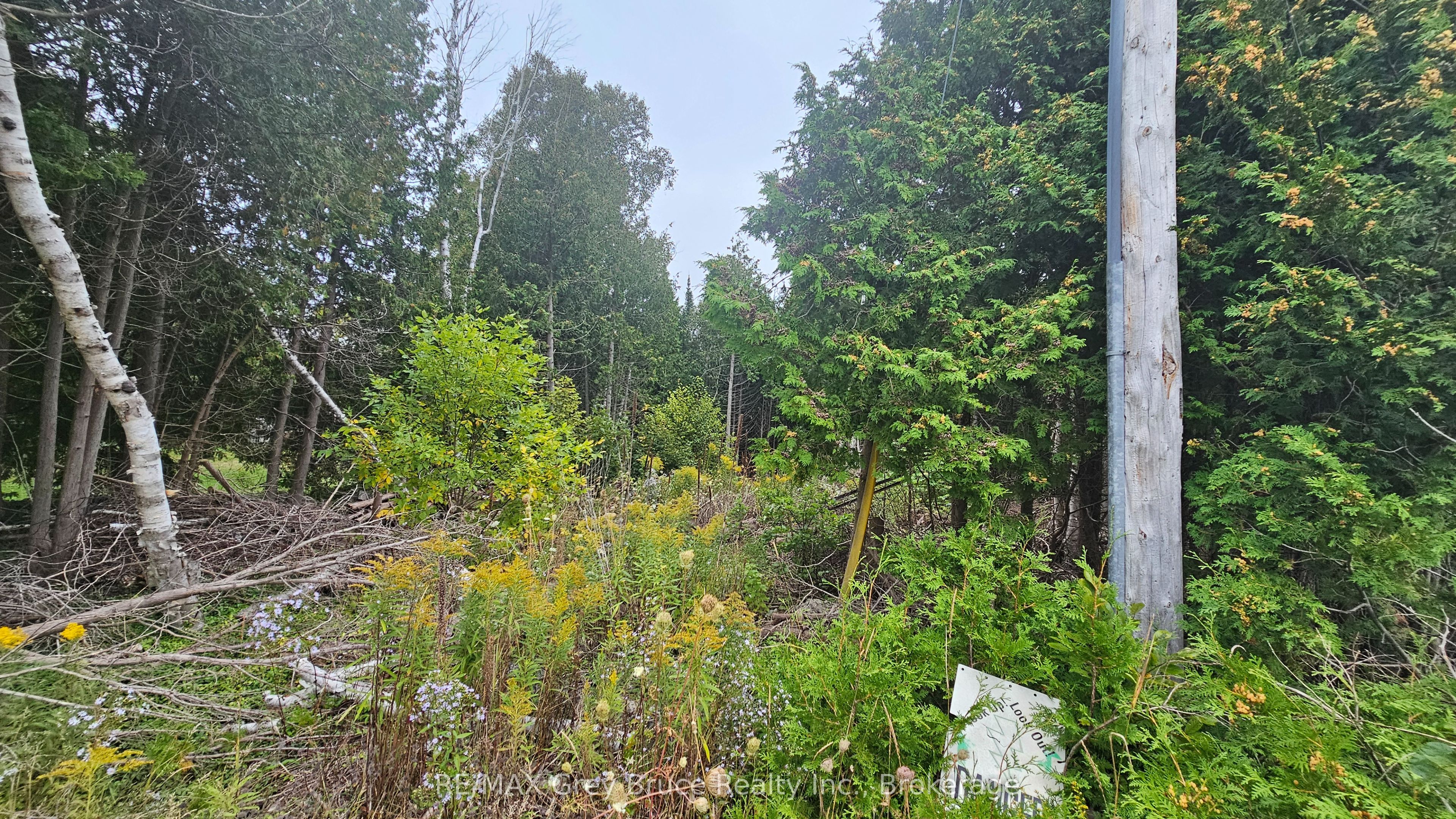 Pt Lt 23 Con 2 Wbr Pt 1 Highway 6 Highway Property Photo 5