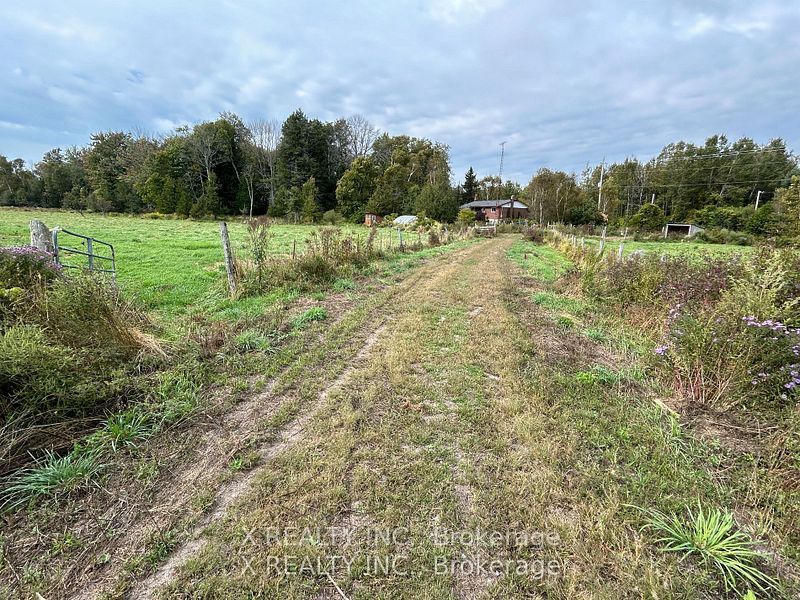 154 Brimley Road S Property Photo 31