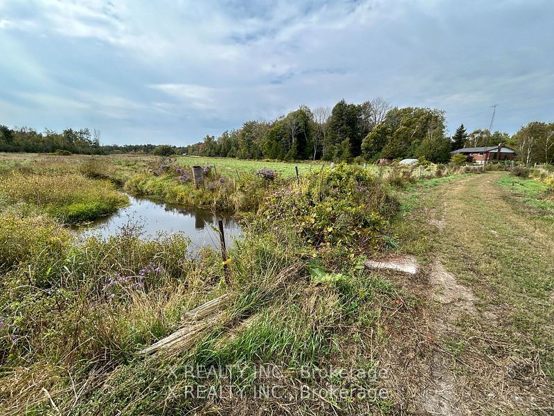 154 Brimley Road S Property Photo 34