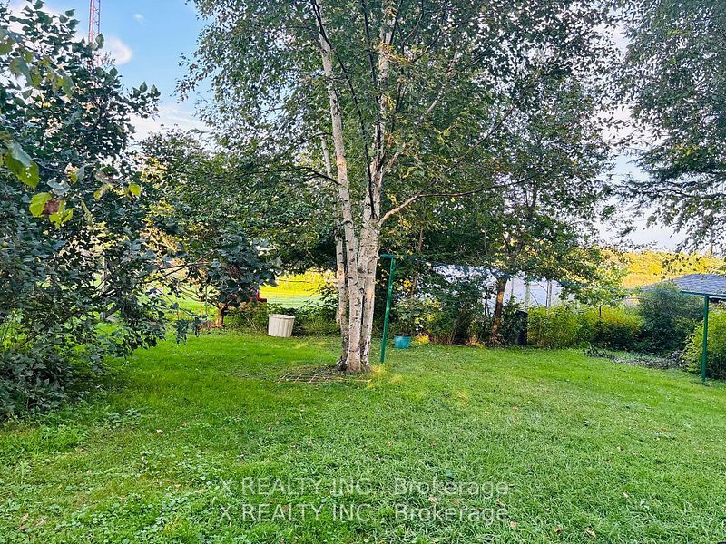 154 Brimley Road S Property Photo 39