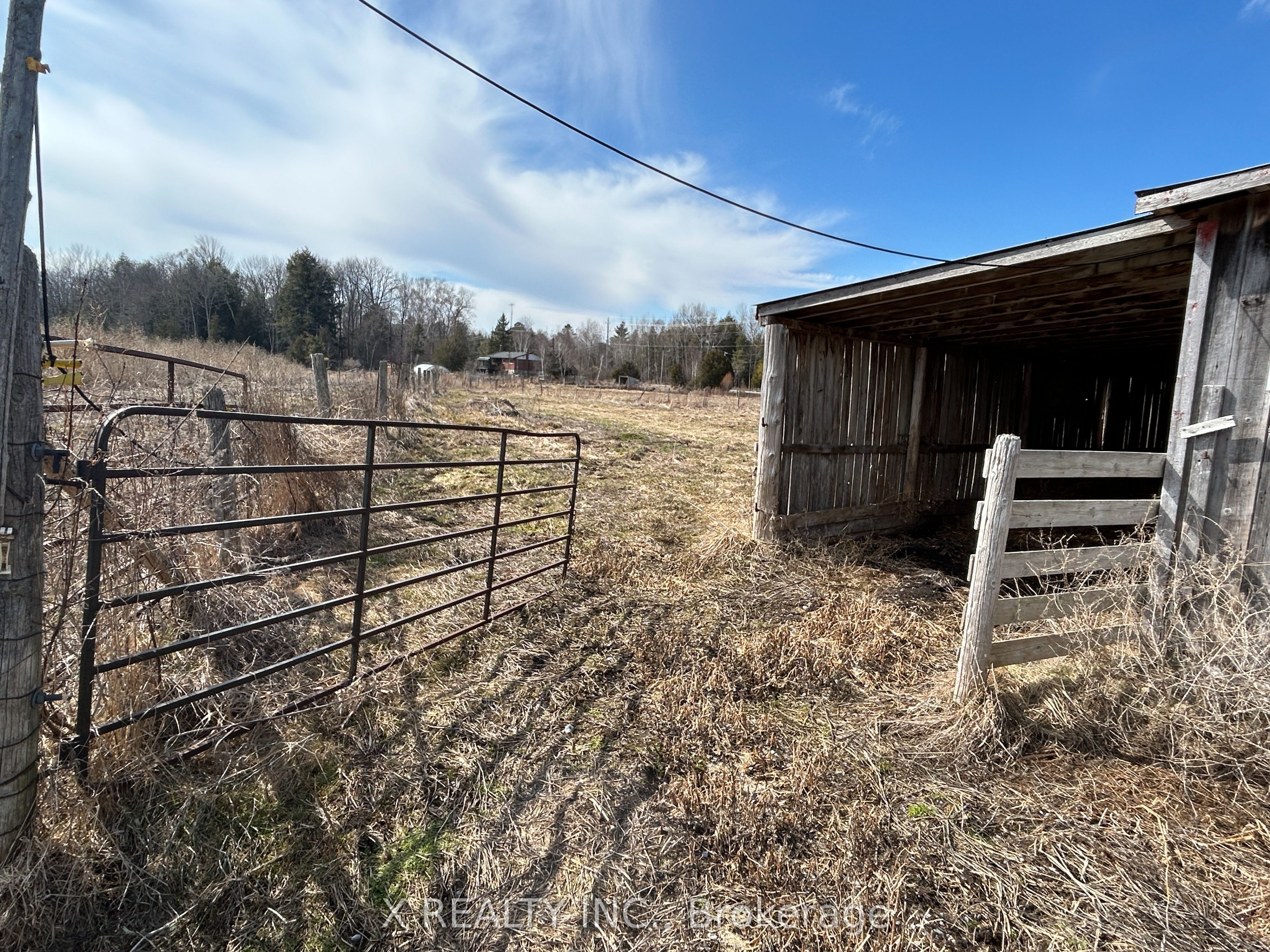 154 Brimley Road S Property Photo 44