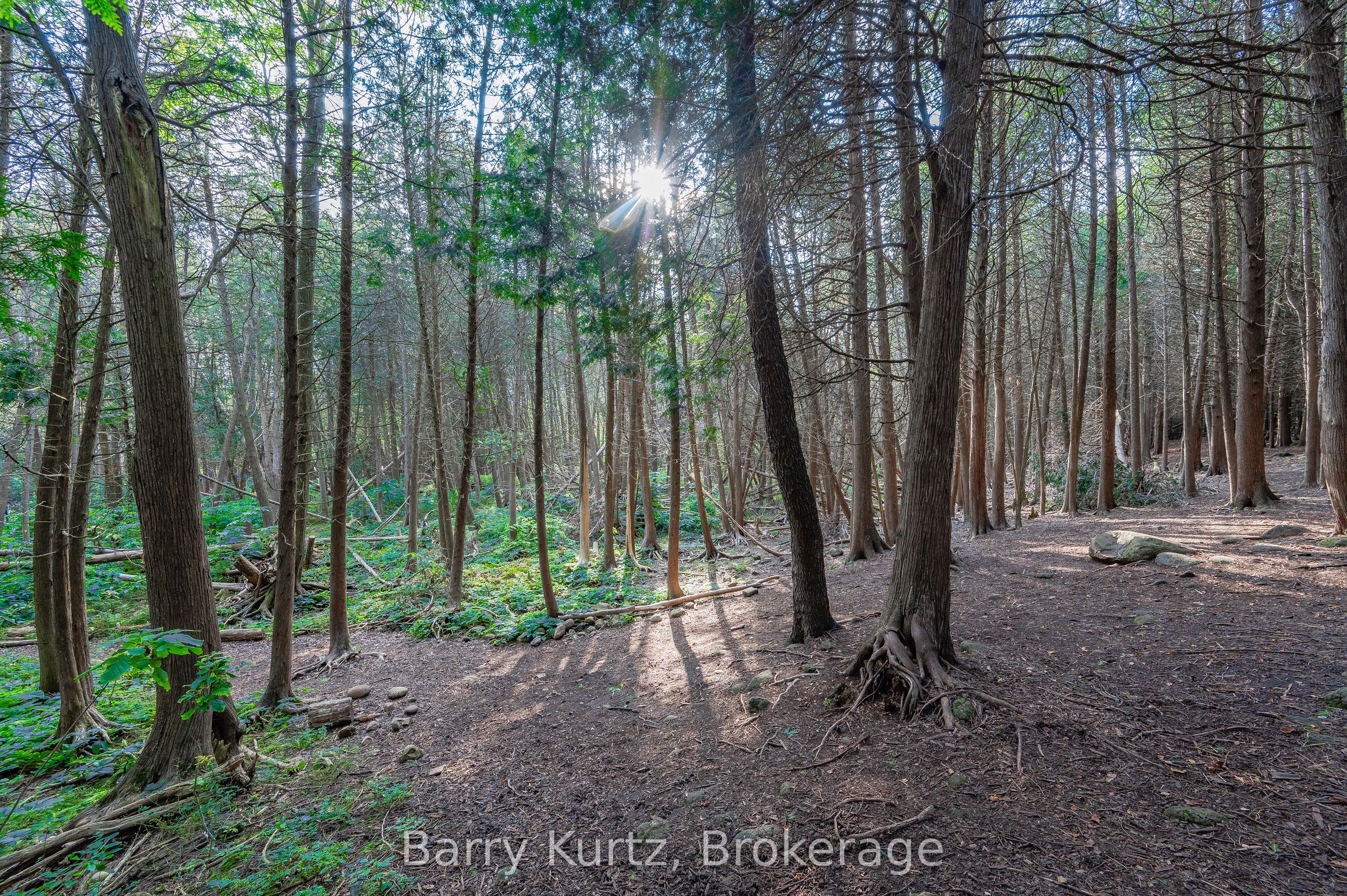 739 Stone Road Property Photo 2