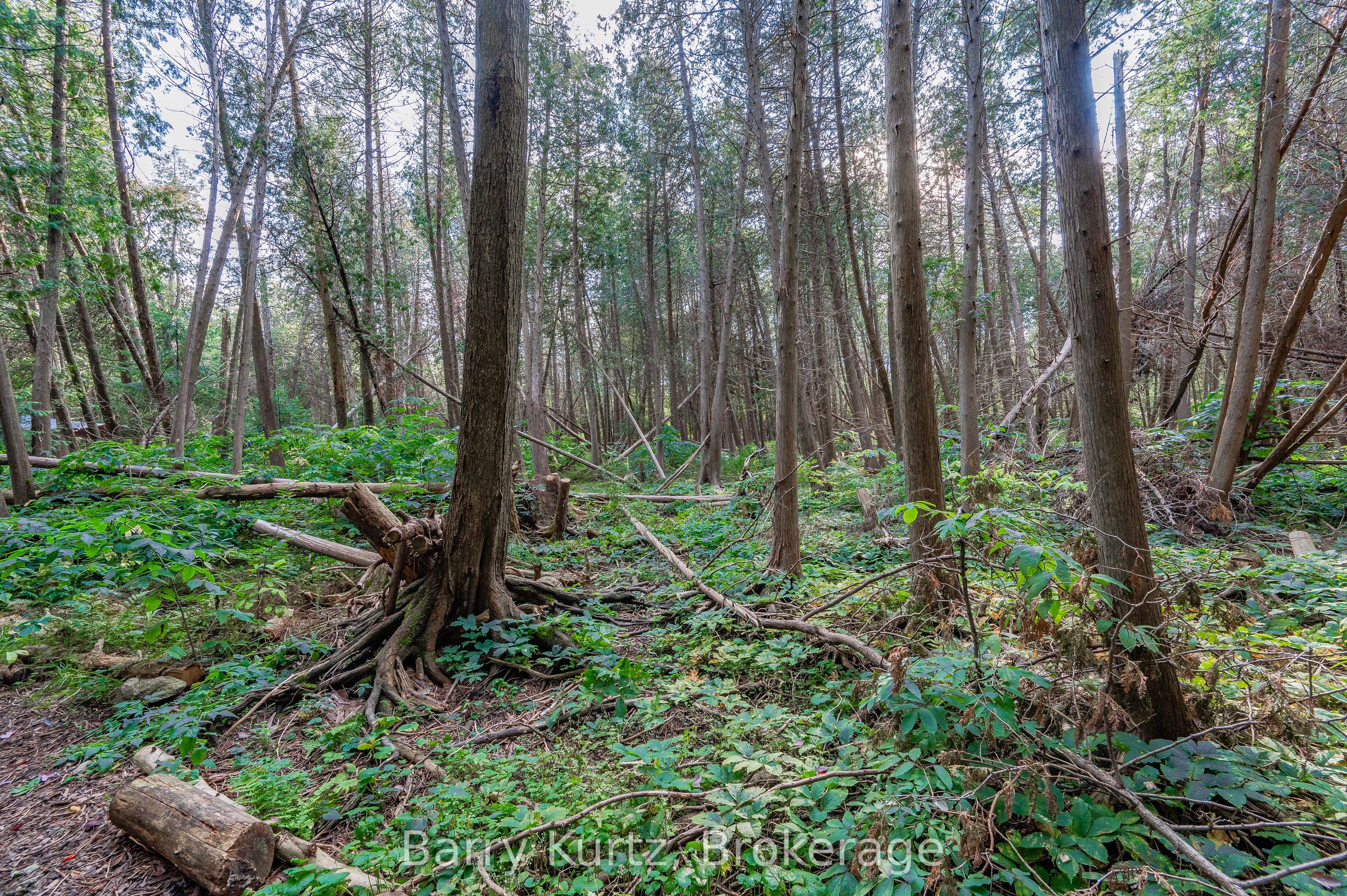 739 Stone Road Property Photo 3