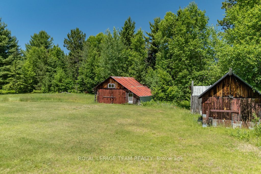 11462 Opeongo Road Property Photo 4