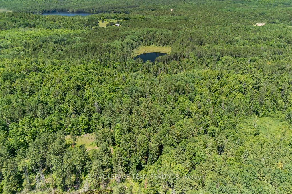 11462 Opeongo Road Property Photo 11