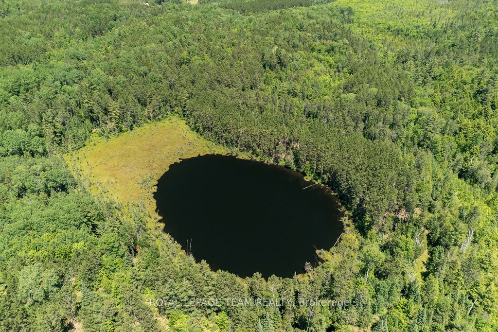 11462 Opeongo Road Property Photo 13