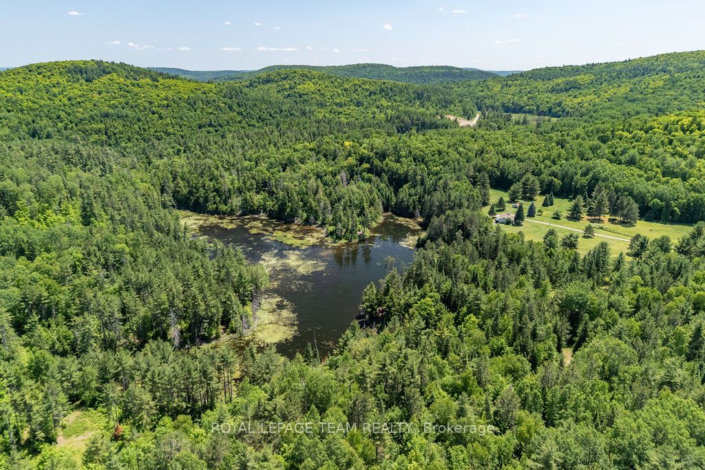 11462 Opeongo Road Property Photo 15