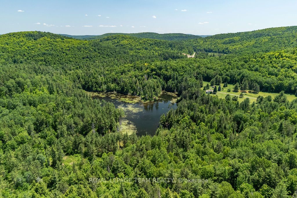 11462 Opeongo Road Property Photo 16