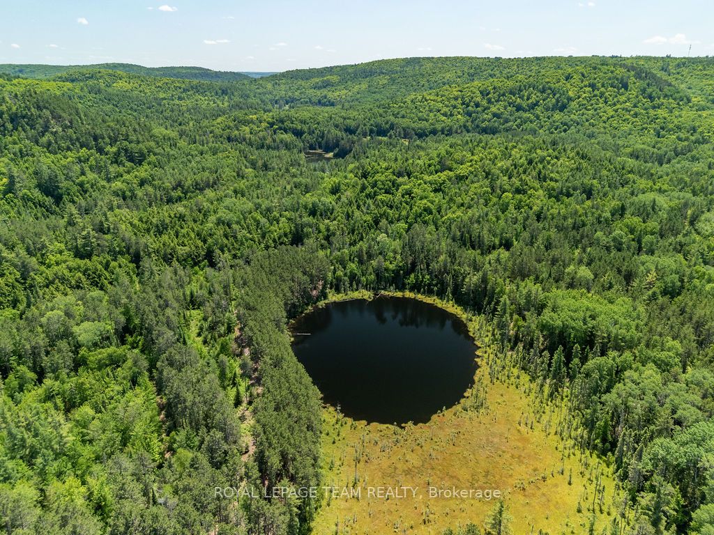 11462 Opeongo Road Property Photo 17