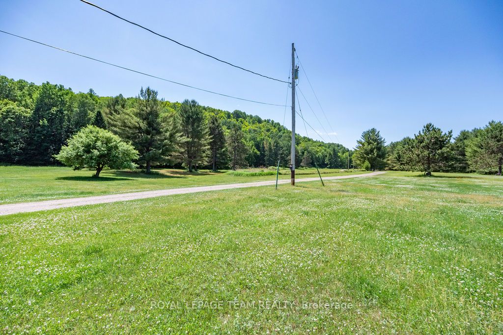 11462 Opeongo Road Property Photo 40