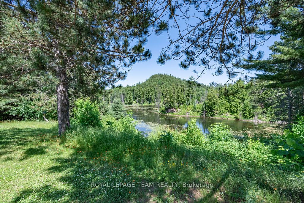 11462 Opeongo Road Property Photo 45