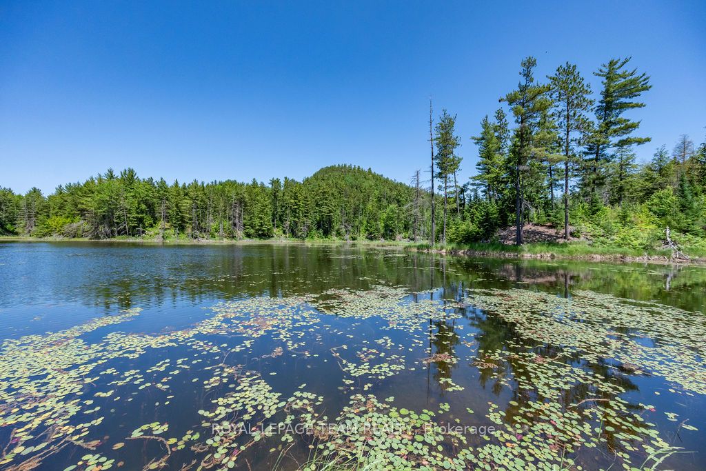 11462 Opeongo Road Property Photo 46