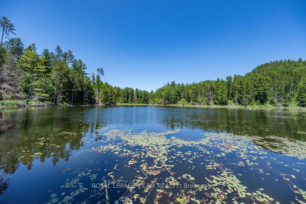 11462 Opeongo Road Property Photo 47