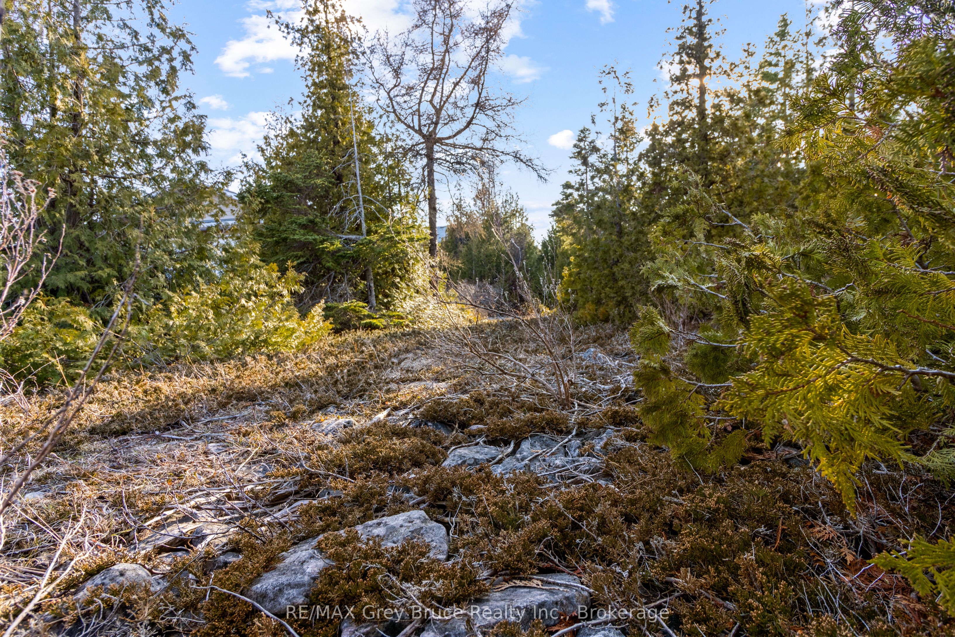 Part 10 Fox Trail Property Photo 4