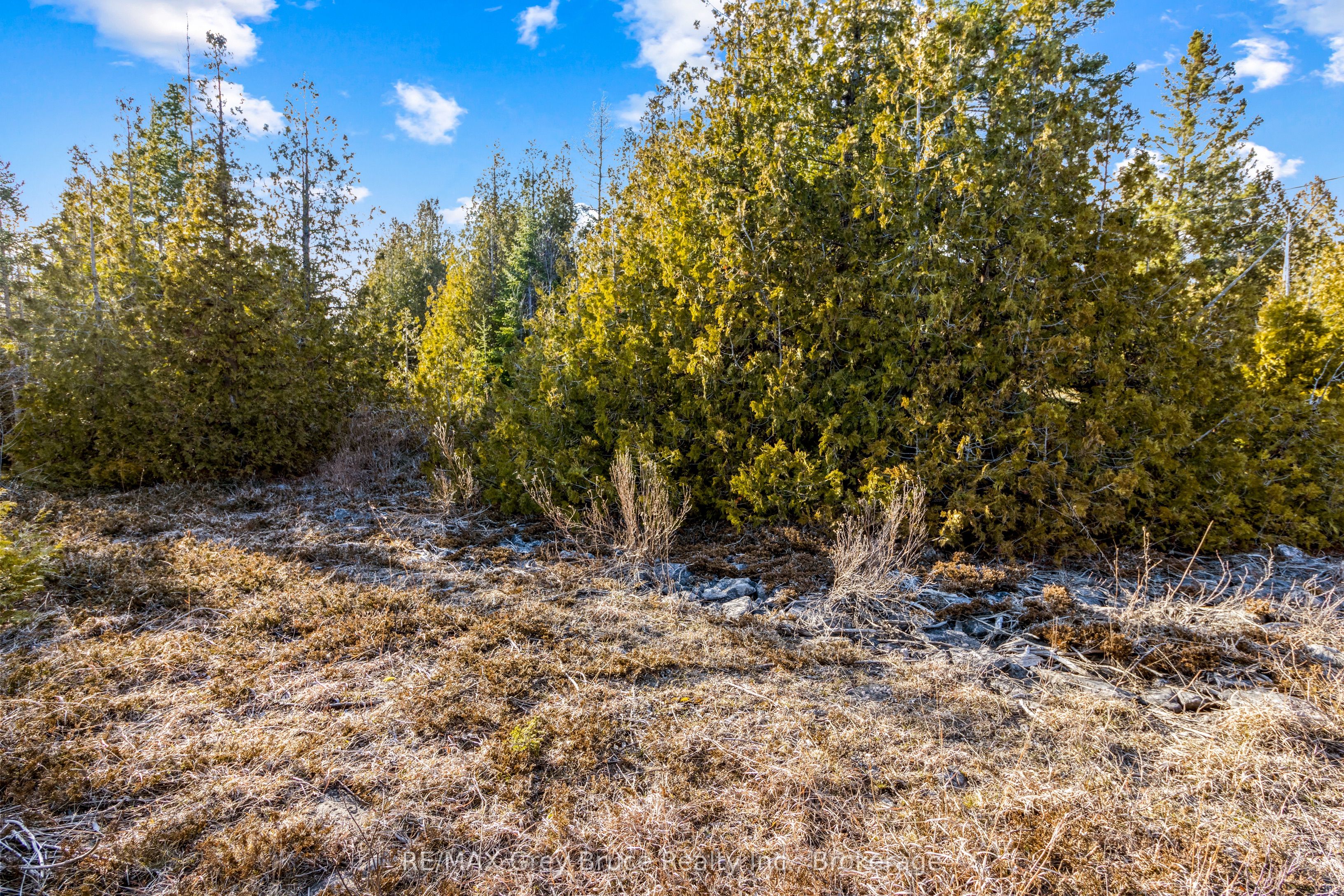 Part 10 Fox Trail Property Photo 12