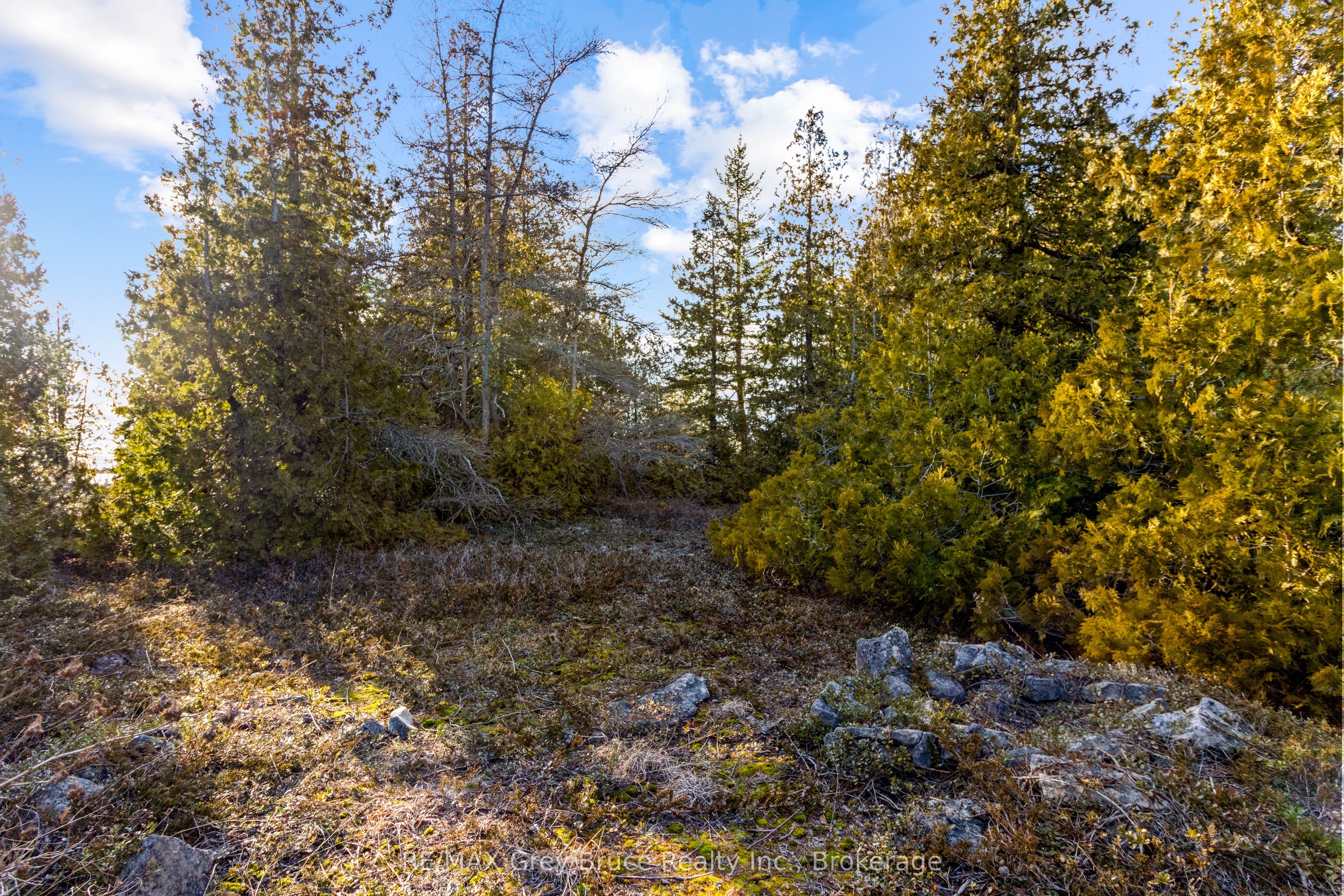 Part 10 Fox Trail Property Photo 13