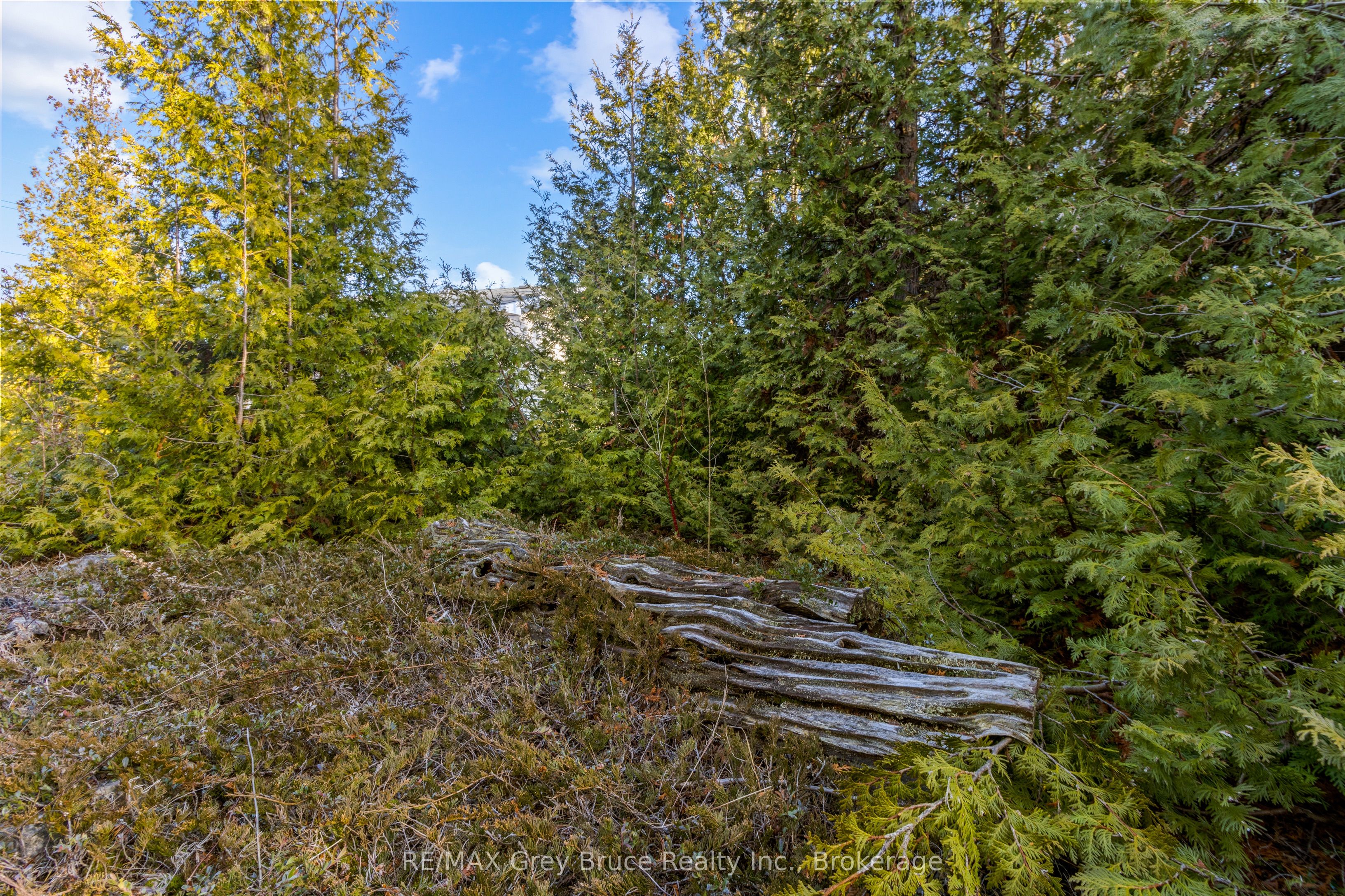 Part 10 Fox Trail Property Photo 14