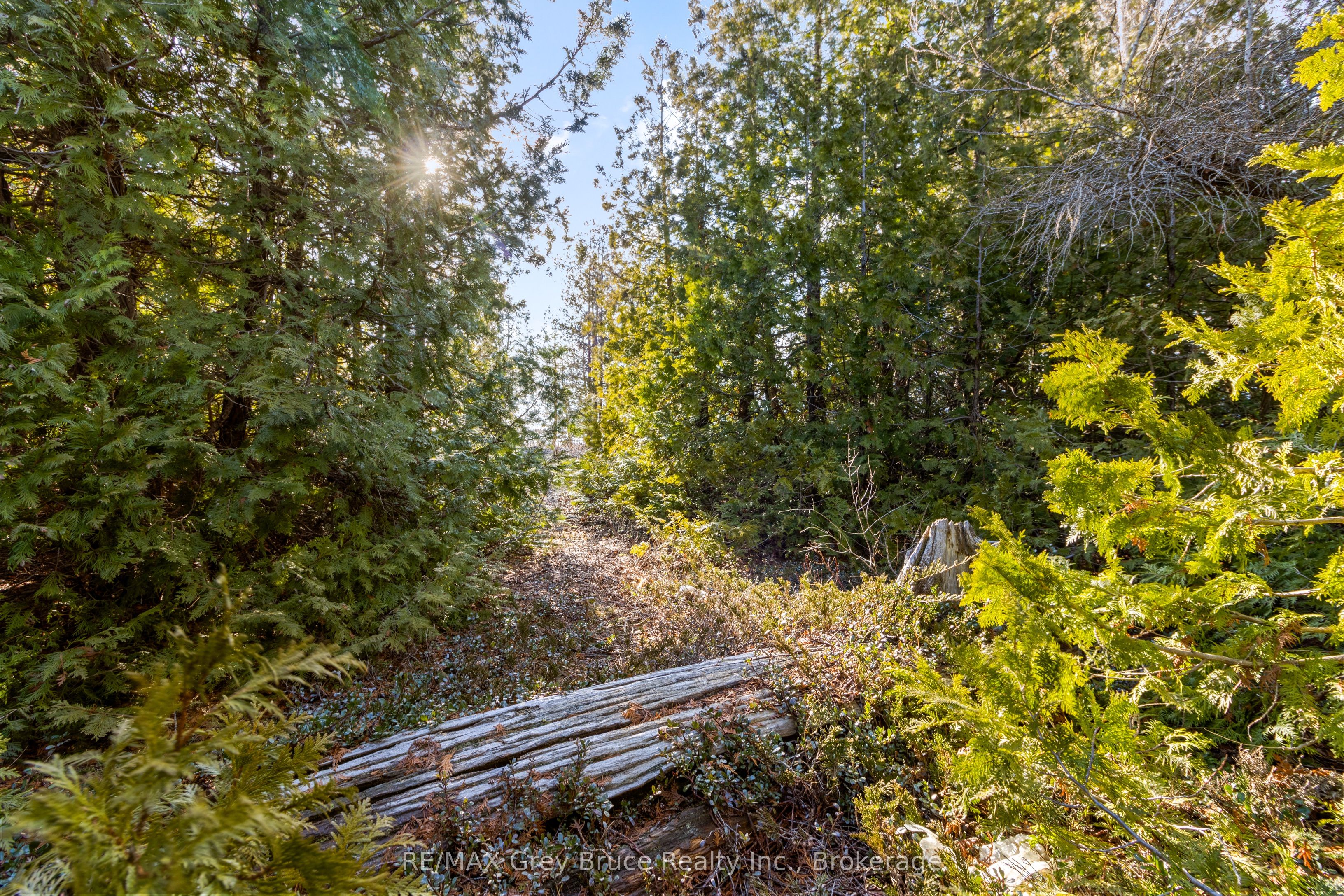 Part 10 Fox Trail Property Photo 15