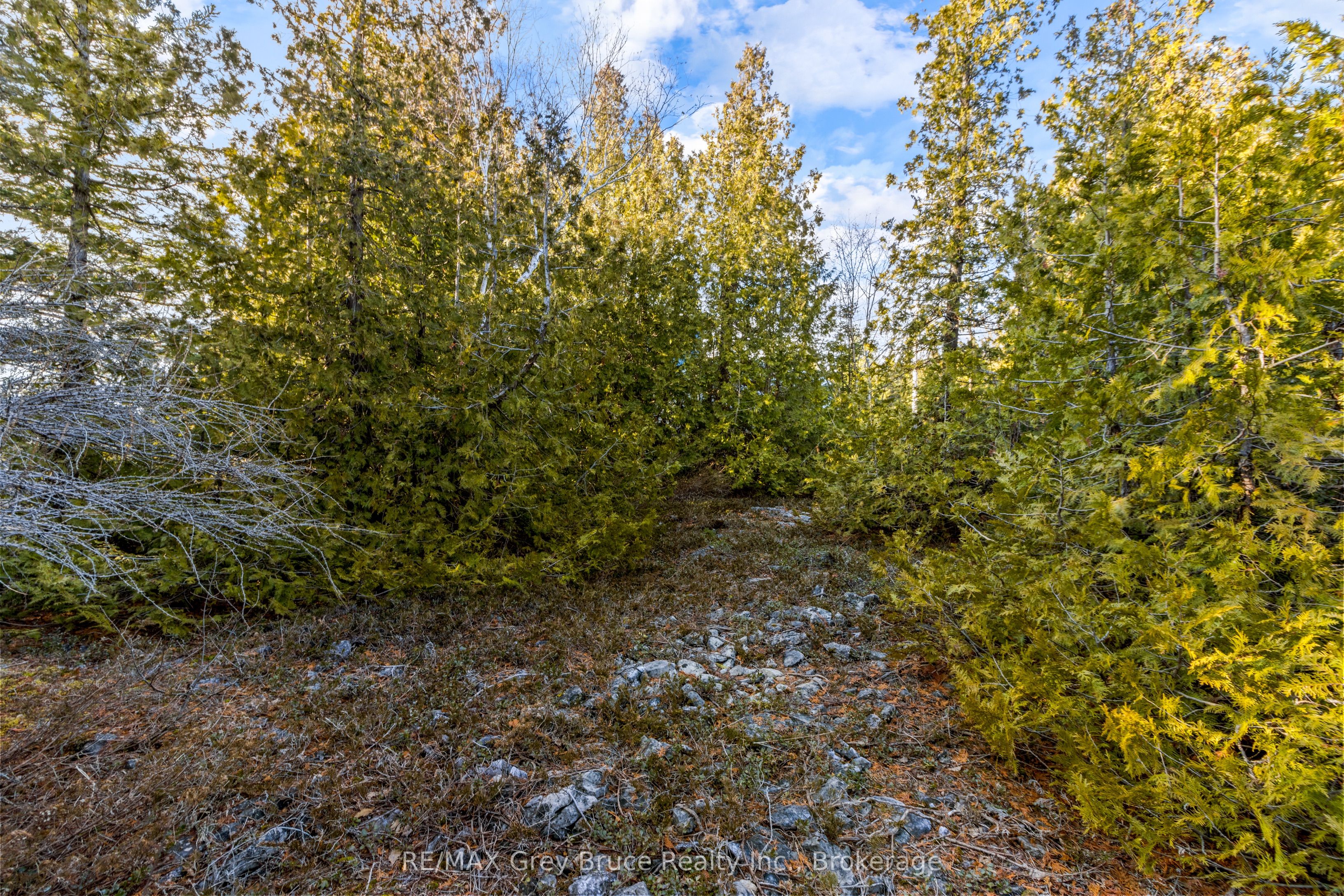 Part 10 Fox Trail Property Photo 24