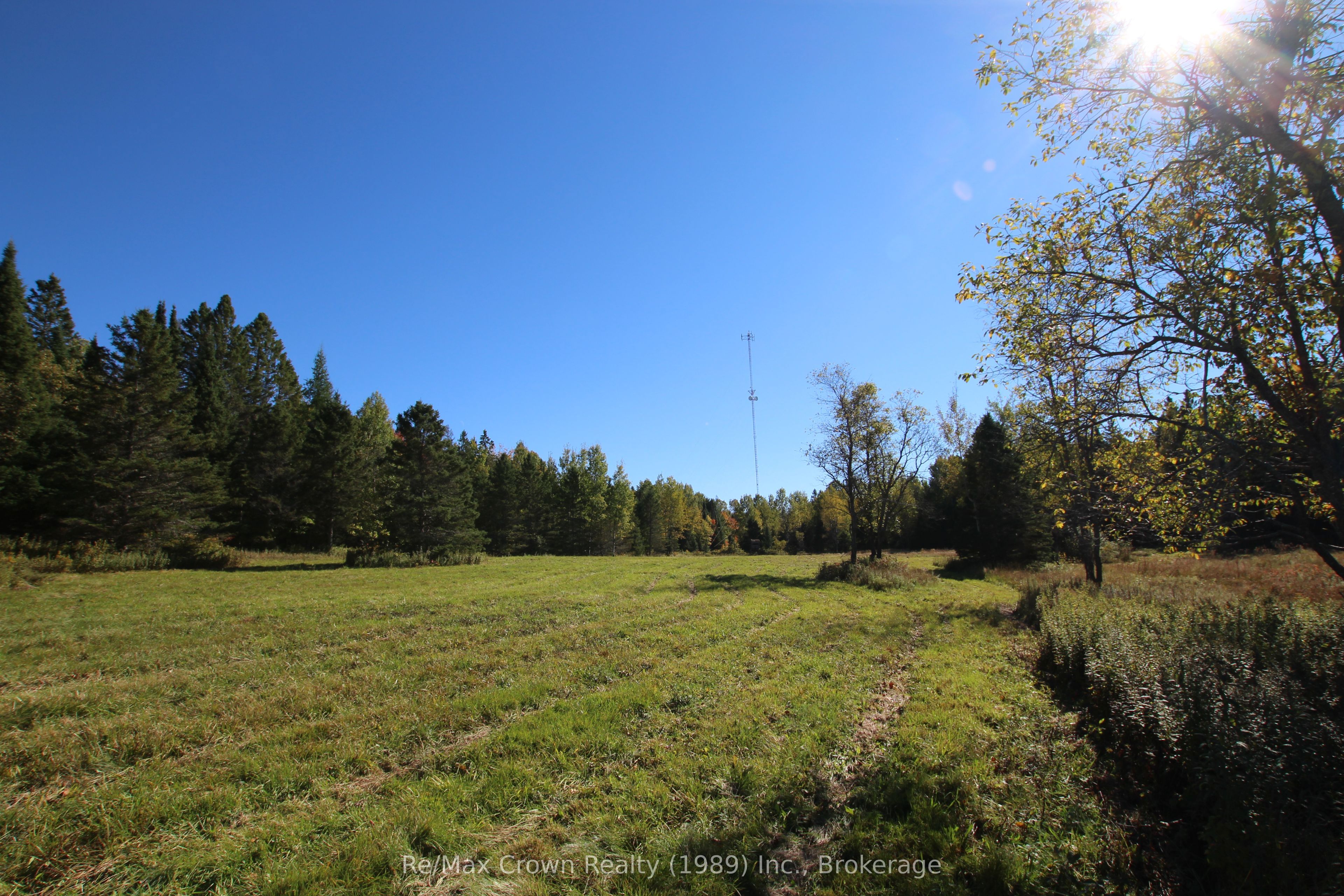 4304 Alsace Road Property Photo 1