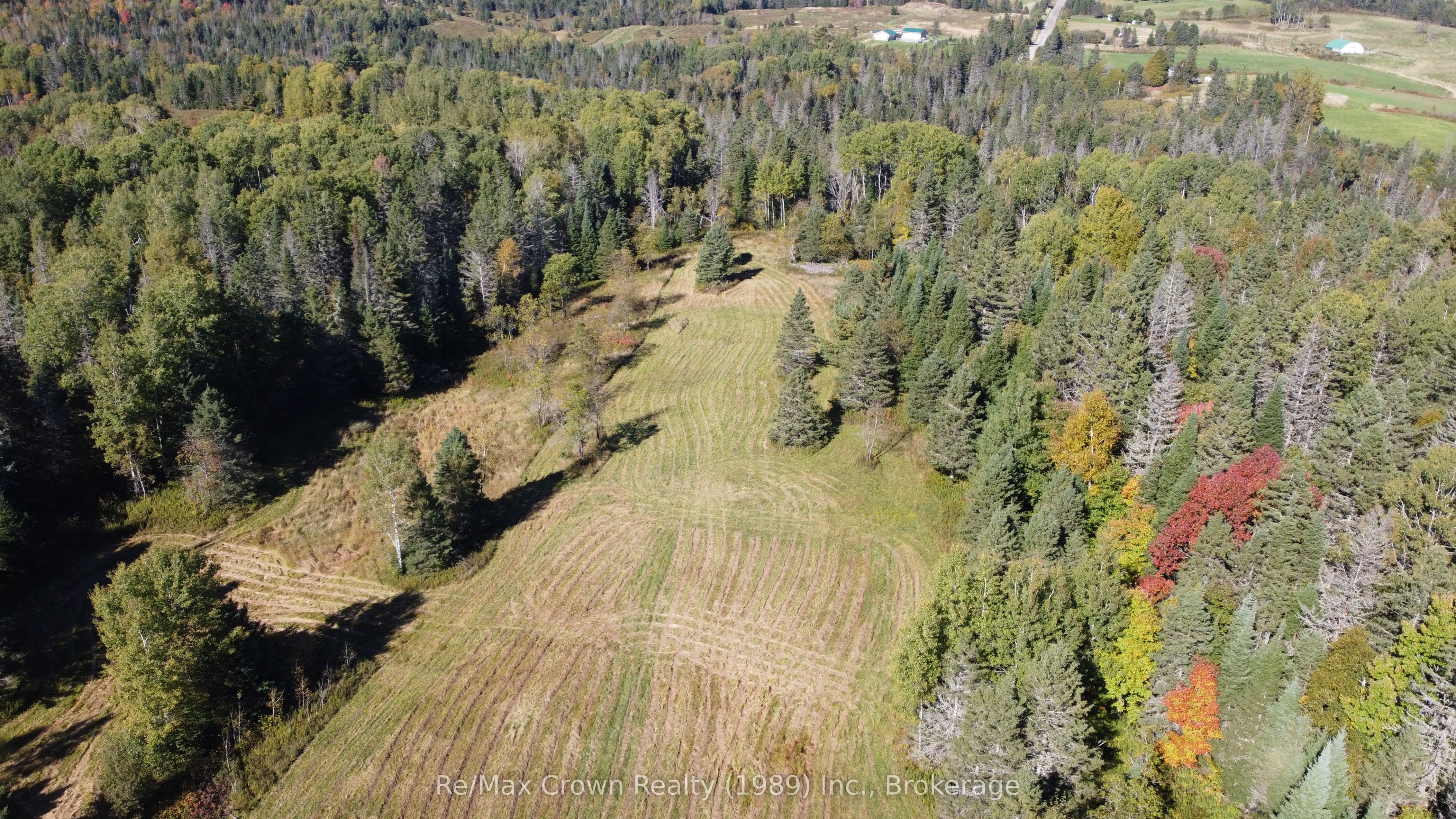 4304 Alsace Road Property Photo 4