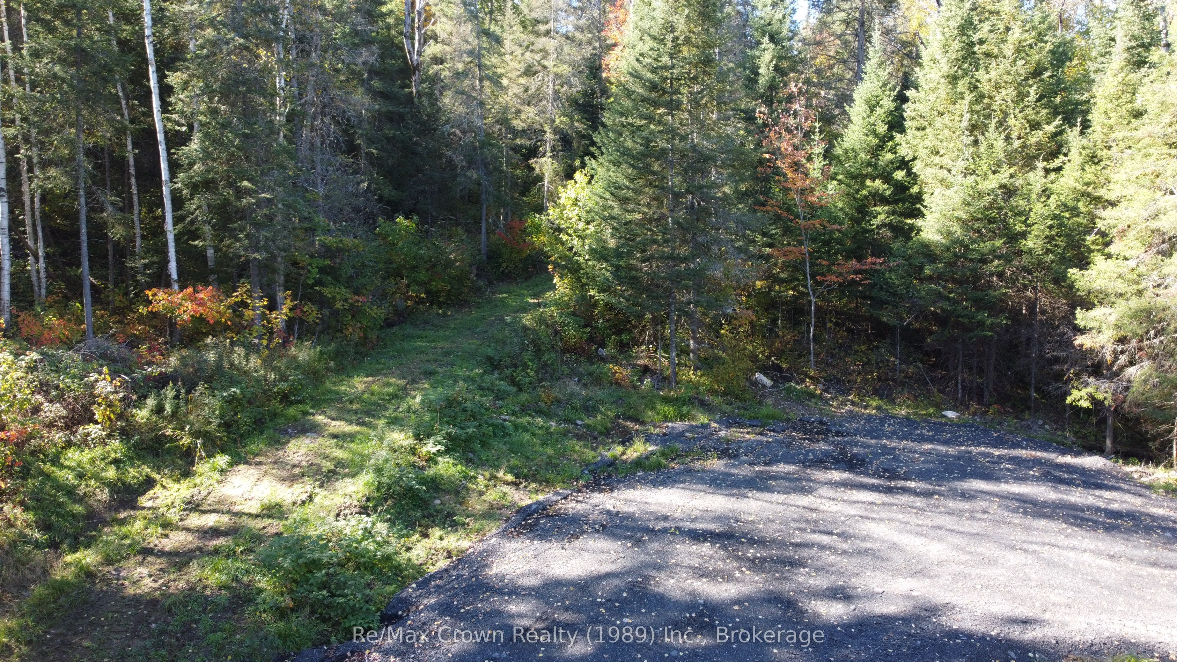 4304 Alsace Road Property Photo 17