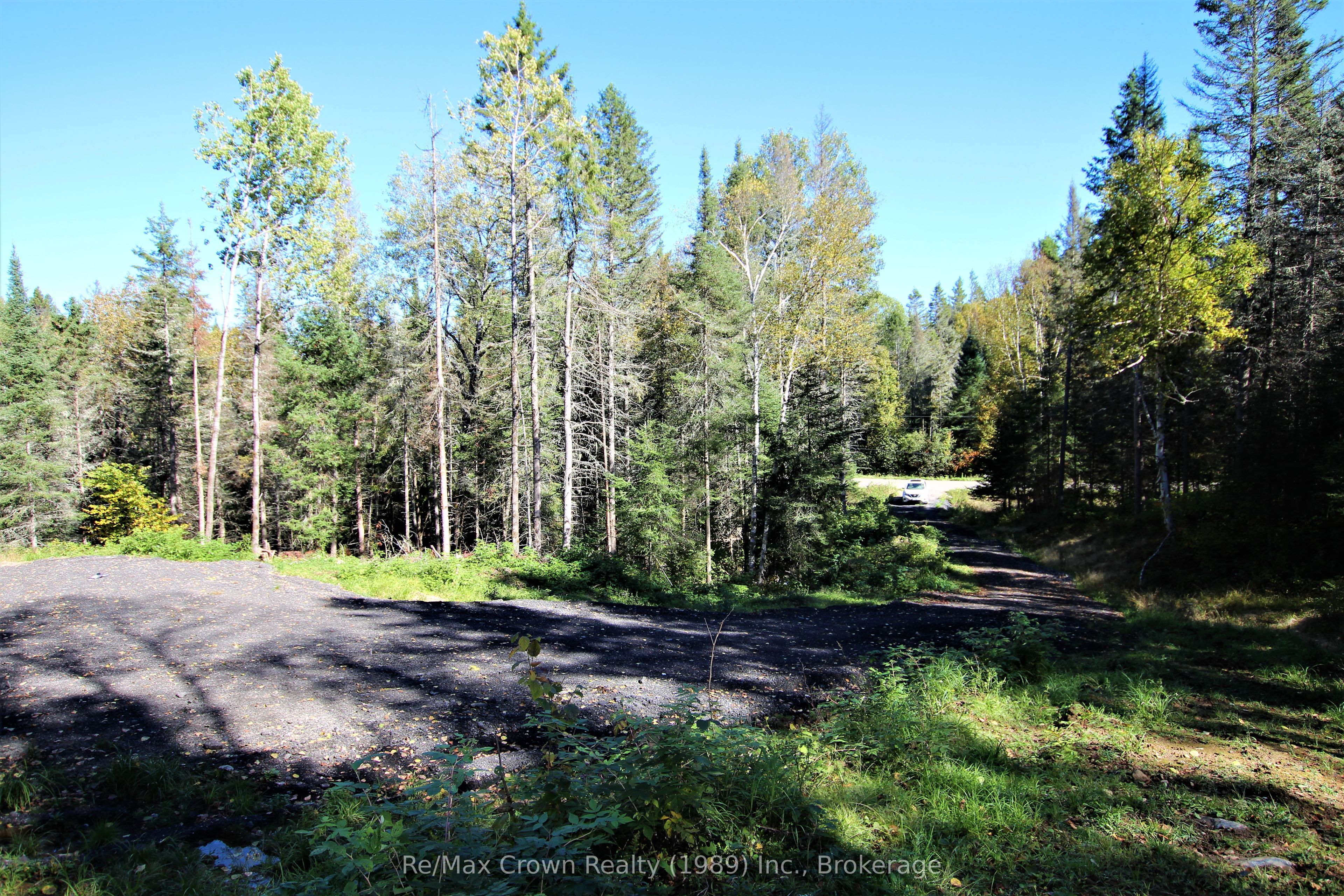 4304 Alsace Road Property Photo 20