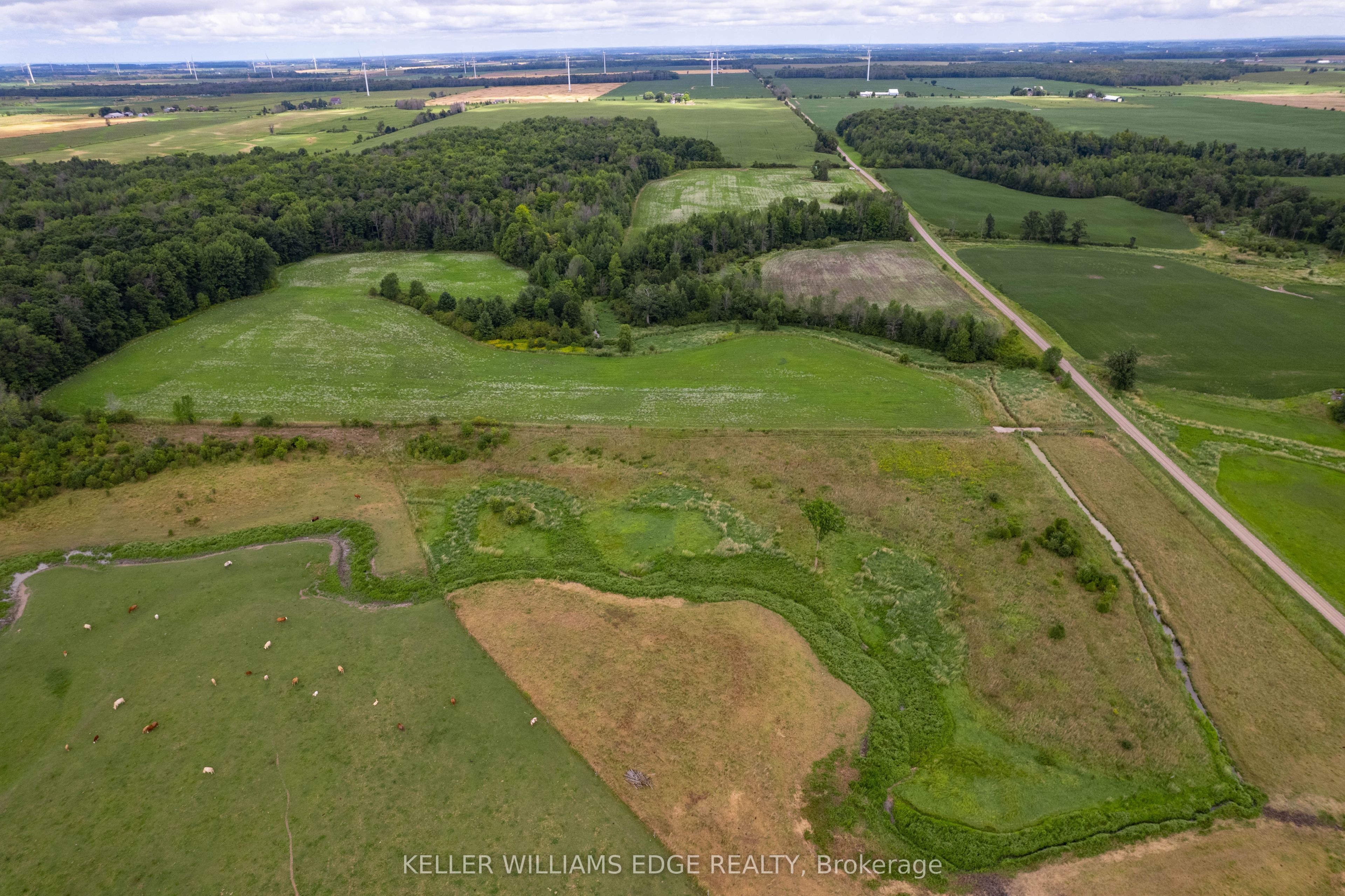 223 Sideroad 25 Property Photo 4