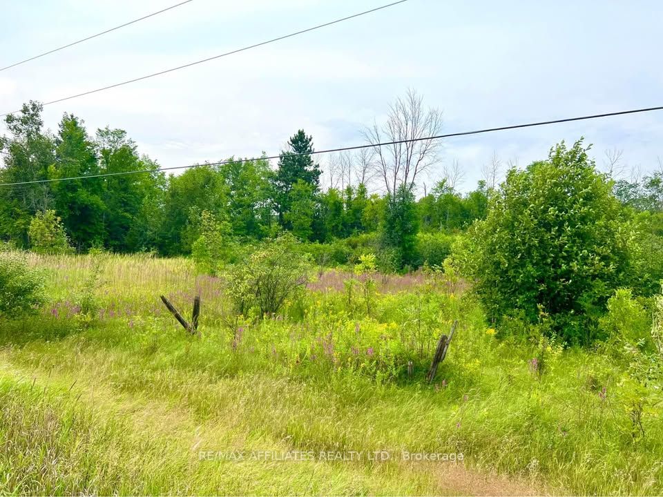 20010 Highway 7 Highway Property Photo 1