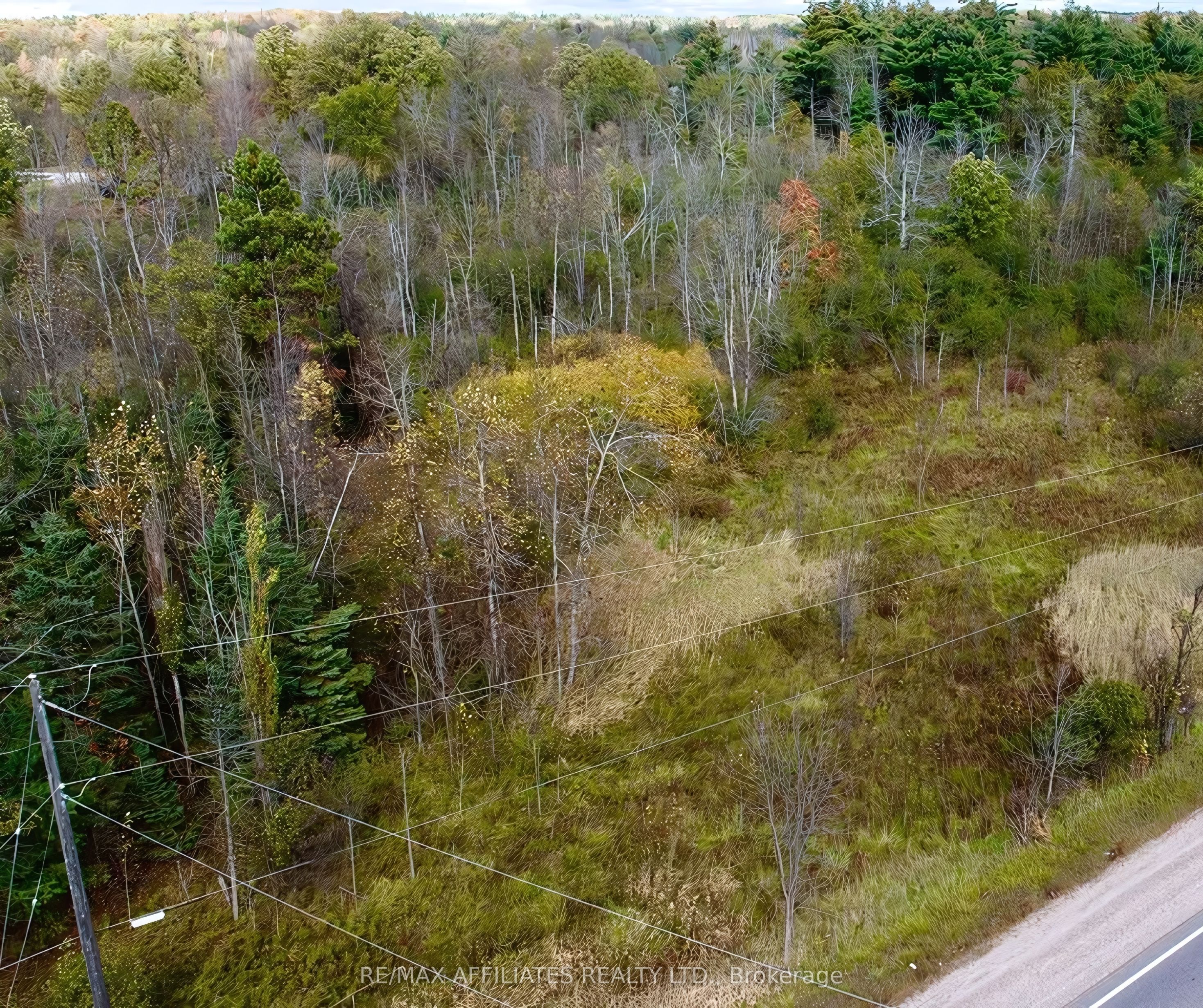 20010 Highway 7 Highway Property Photo 5
