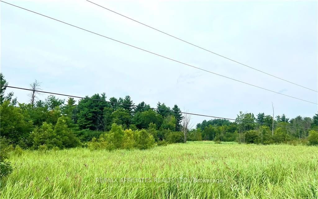 20010 Highway 7 Highway Property Photo 10