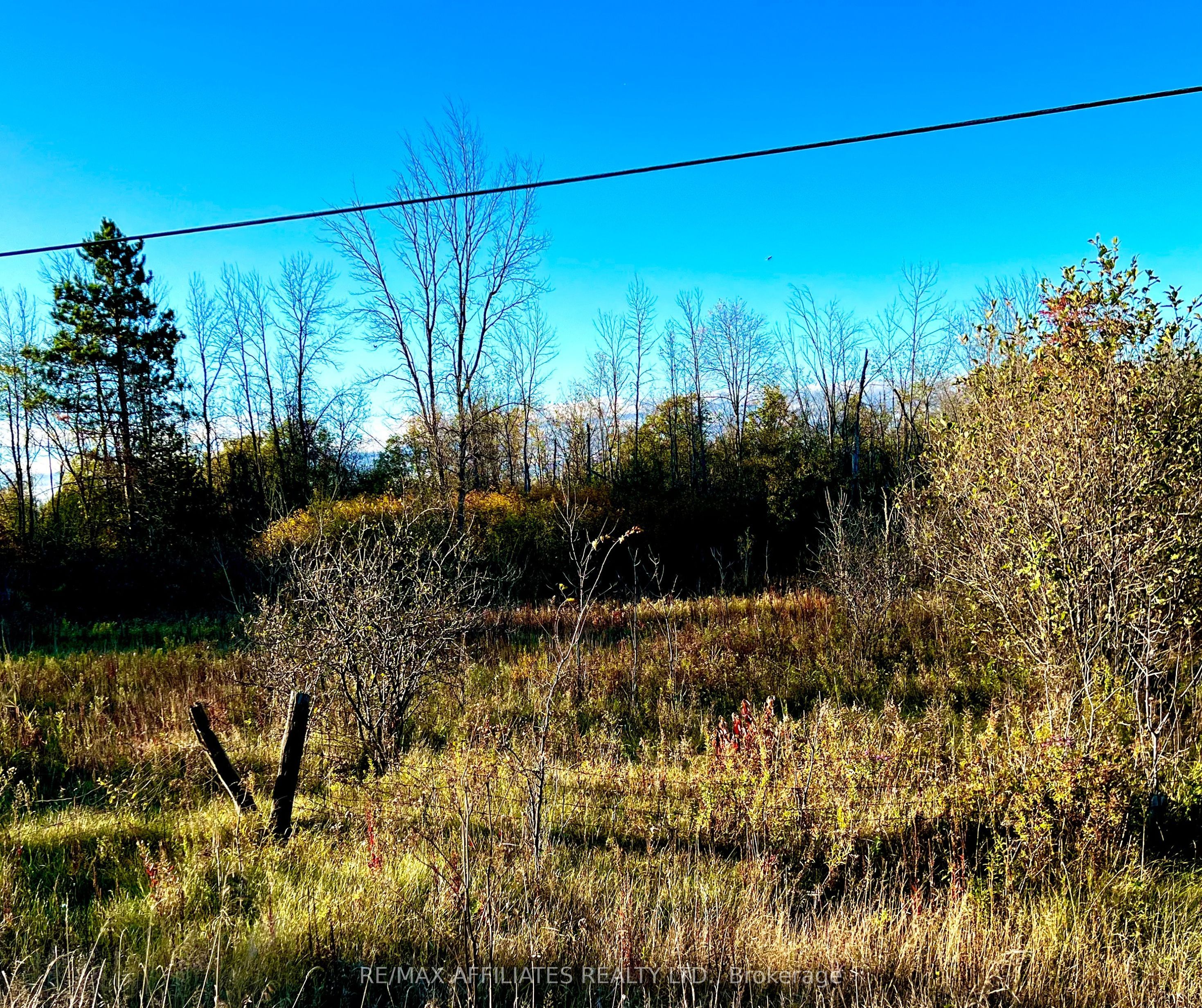 20010 Highway 7 Highway Property Photo 11