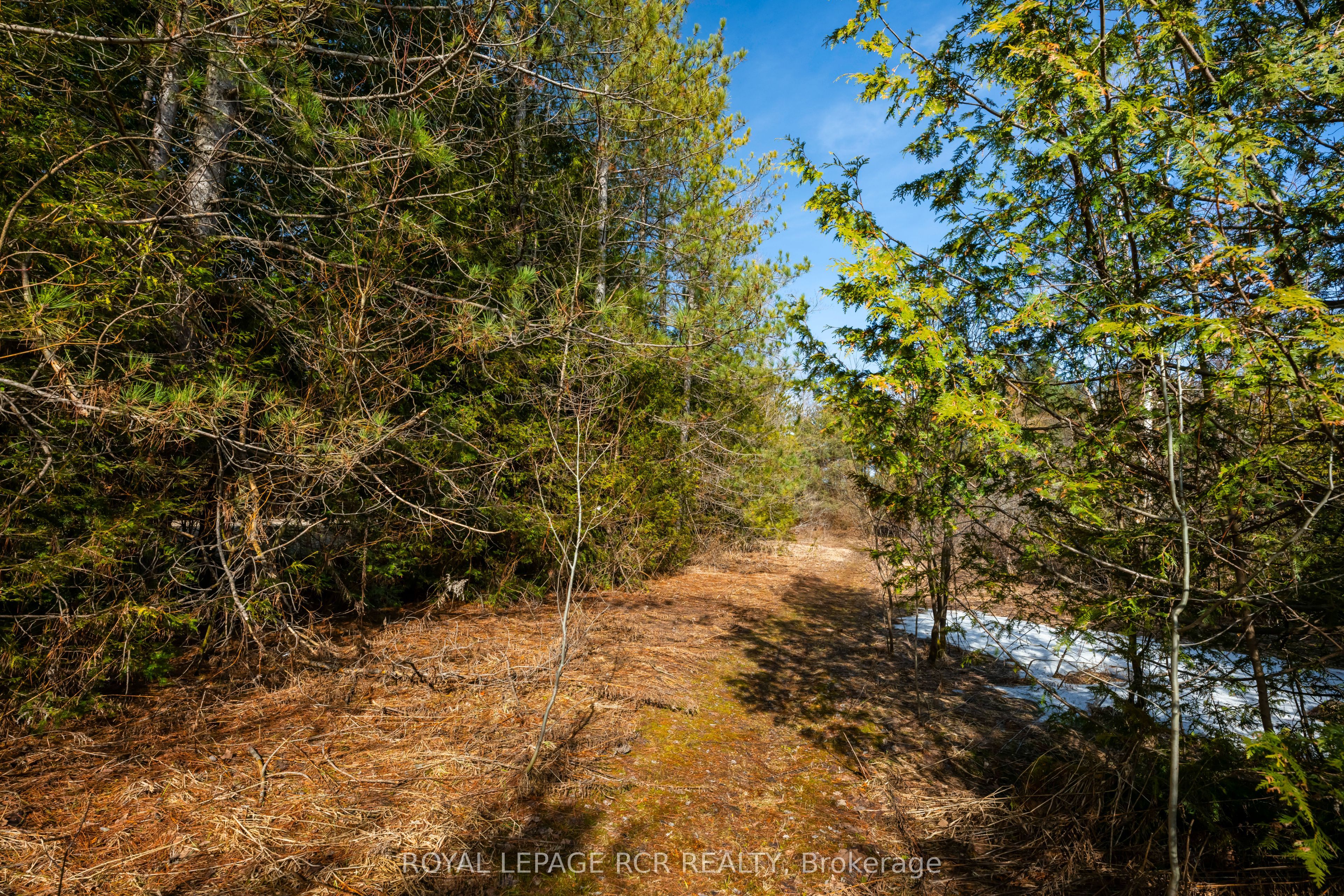 0 Third Line Property Photo 5