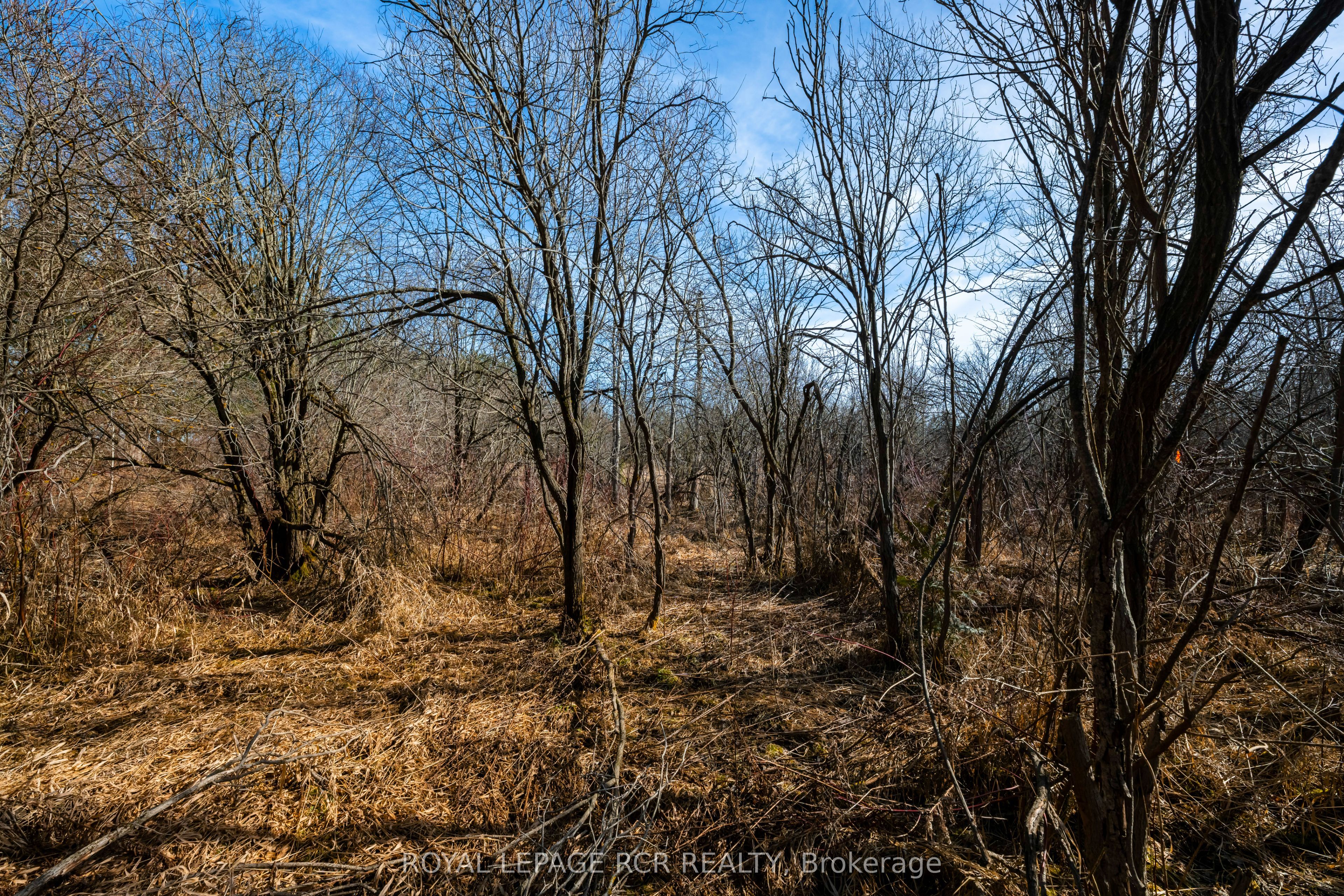 0 Third Line Property Photo 16