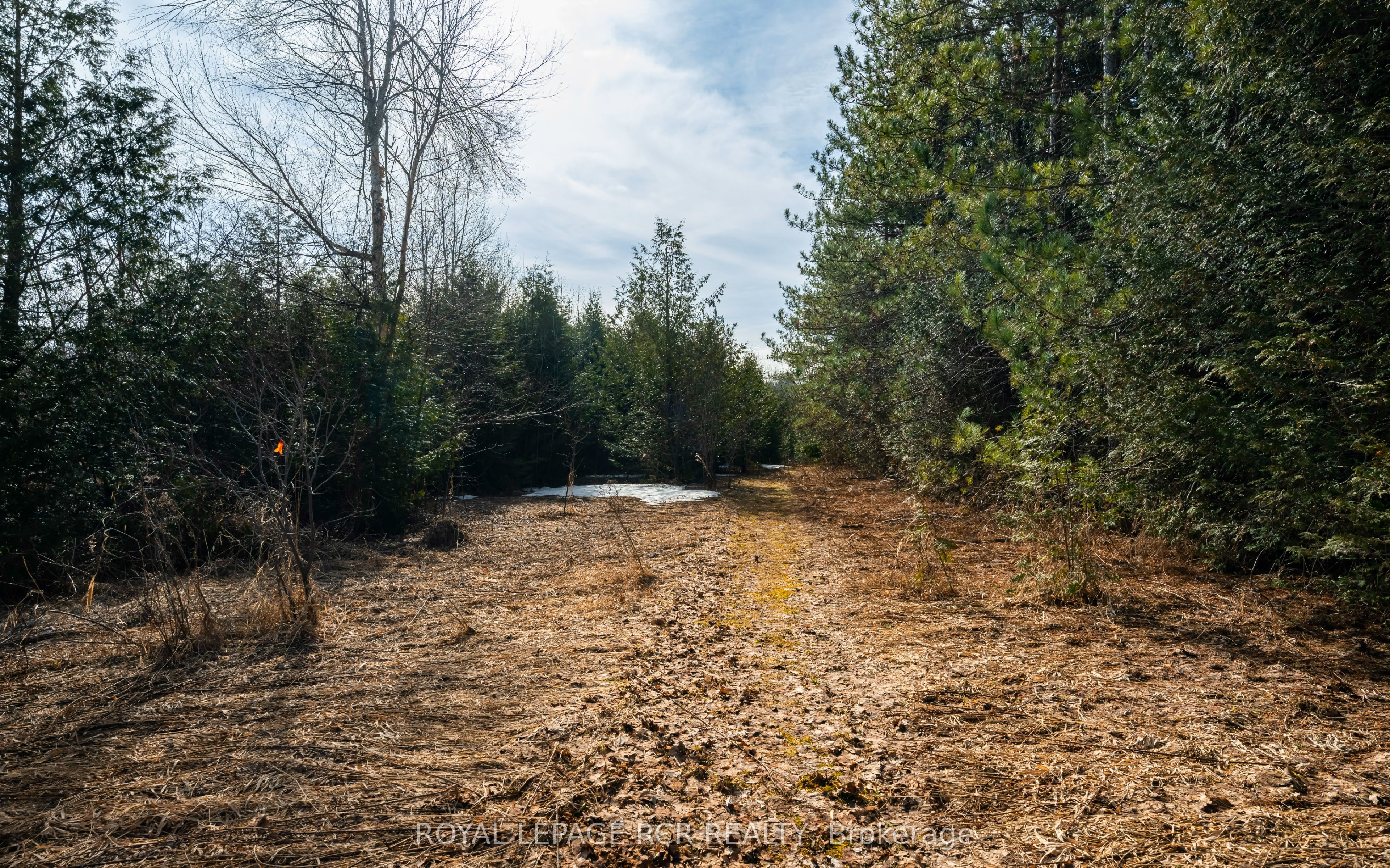 0 Third Line Property Photo 17