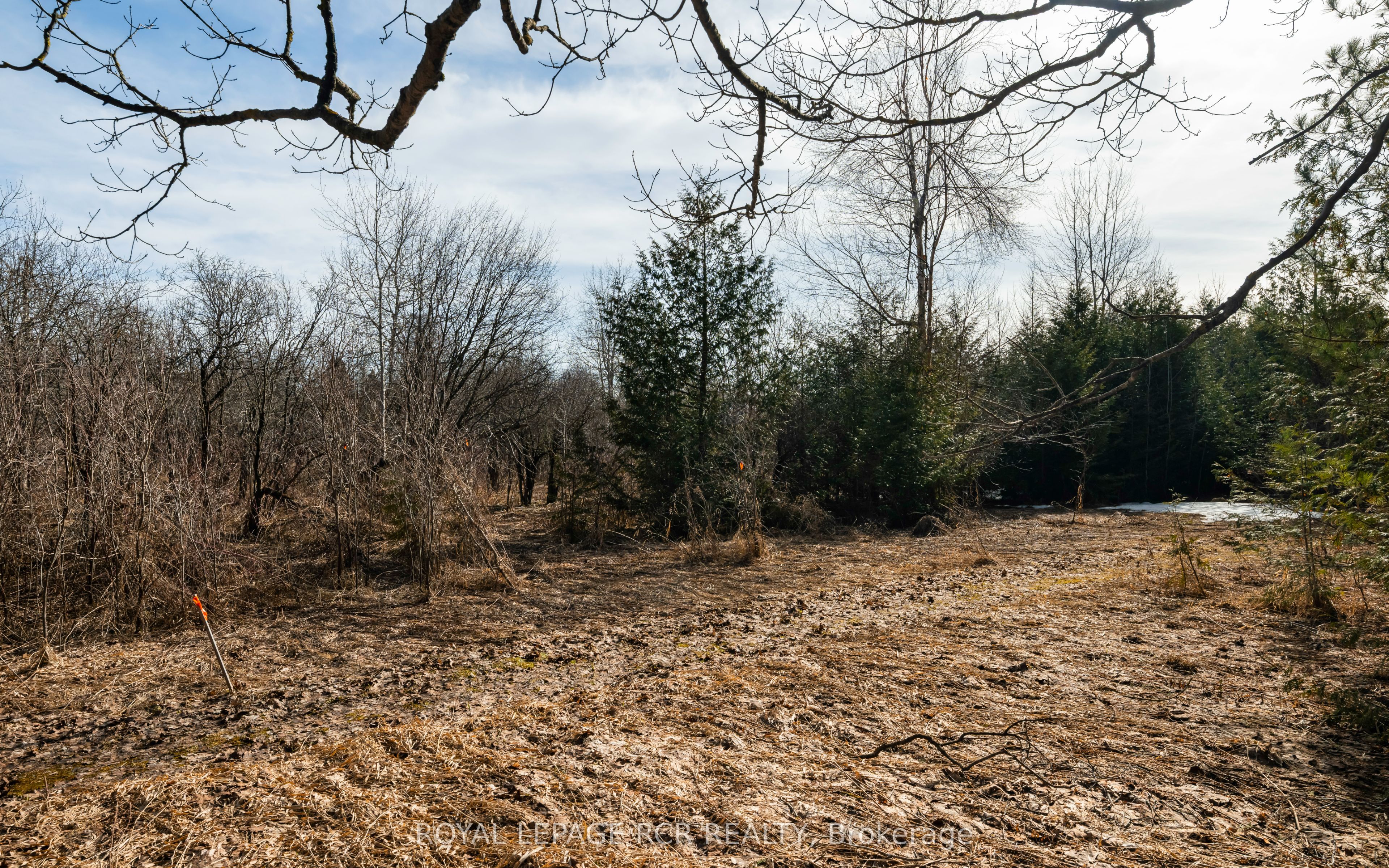0 Third Line Property Photo 18