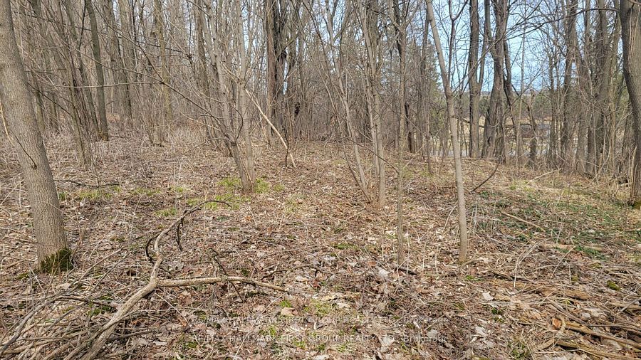 205b Goodfellow Road Property Photo 4