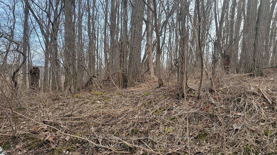 205b Goodfellow Road Property Photo 7
