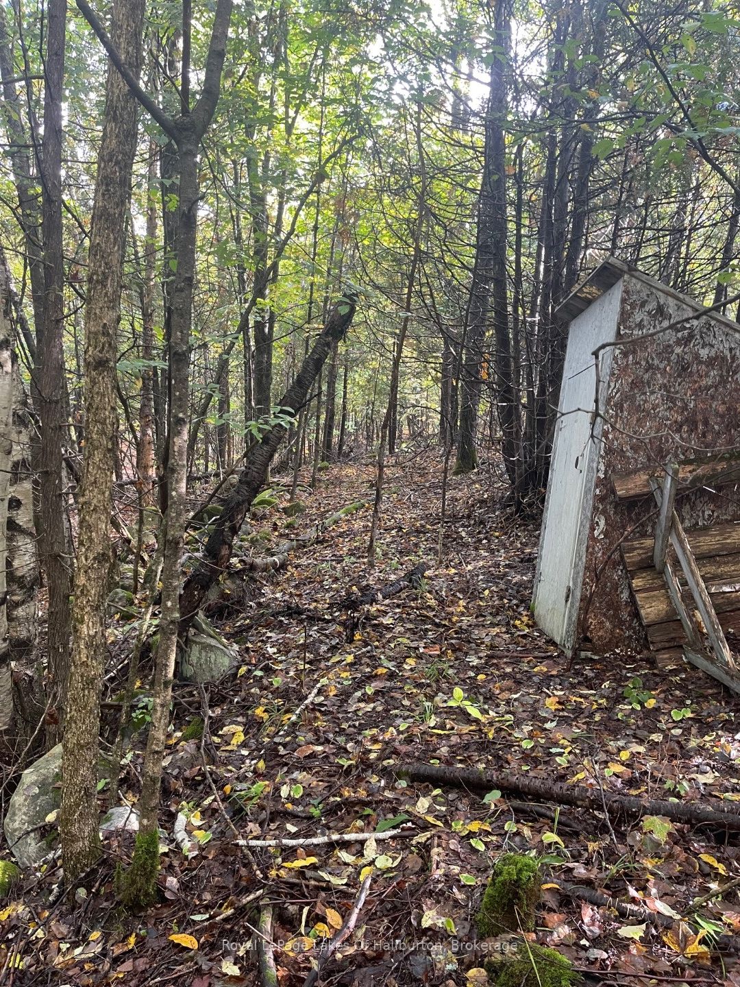 Lot 67 Chelsea Lane Property Photo 13