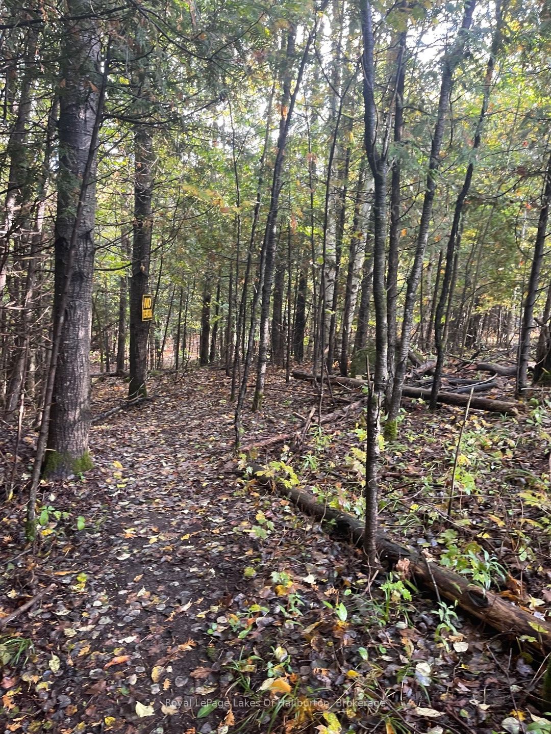 Lot 67 Chelsea Lane Property Photo 15
