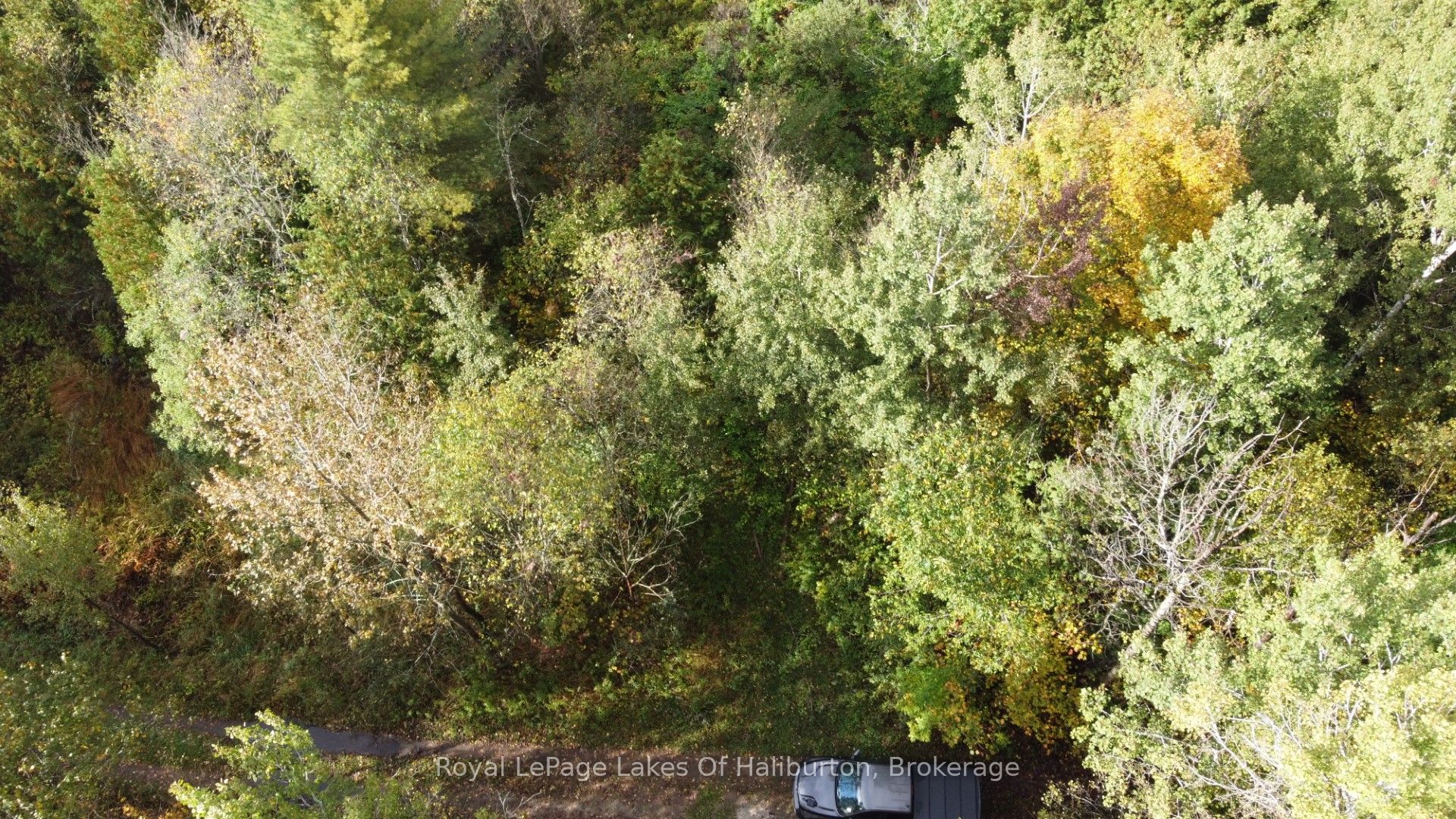 Lot 67 Chelsea Lane Property Photo 17