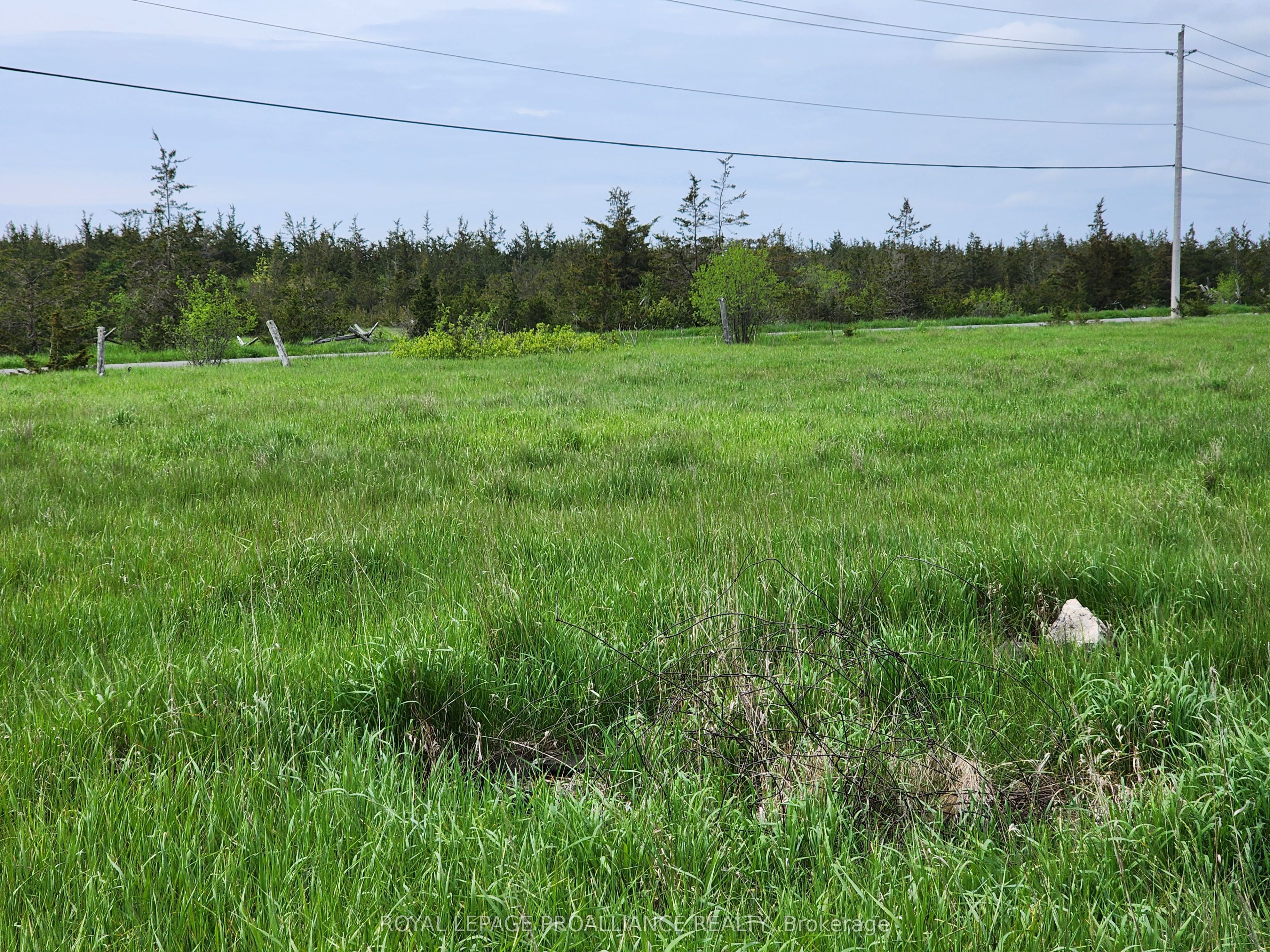 Pt Lt 4 Mitchells Crossroad Road Property Photo 7