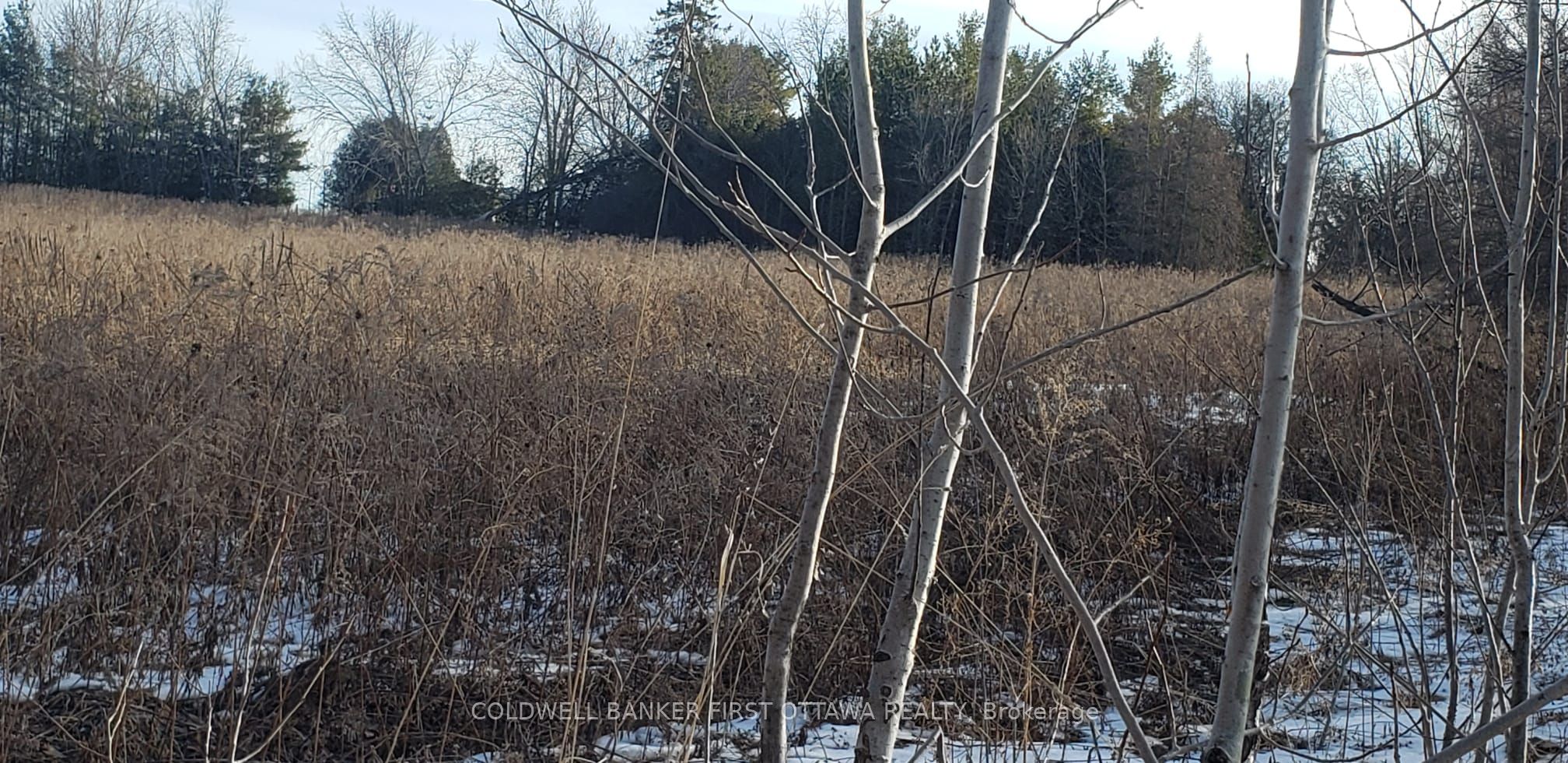 7500 Springhill Road Property Photo 1