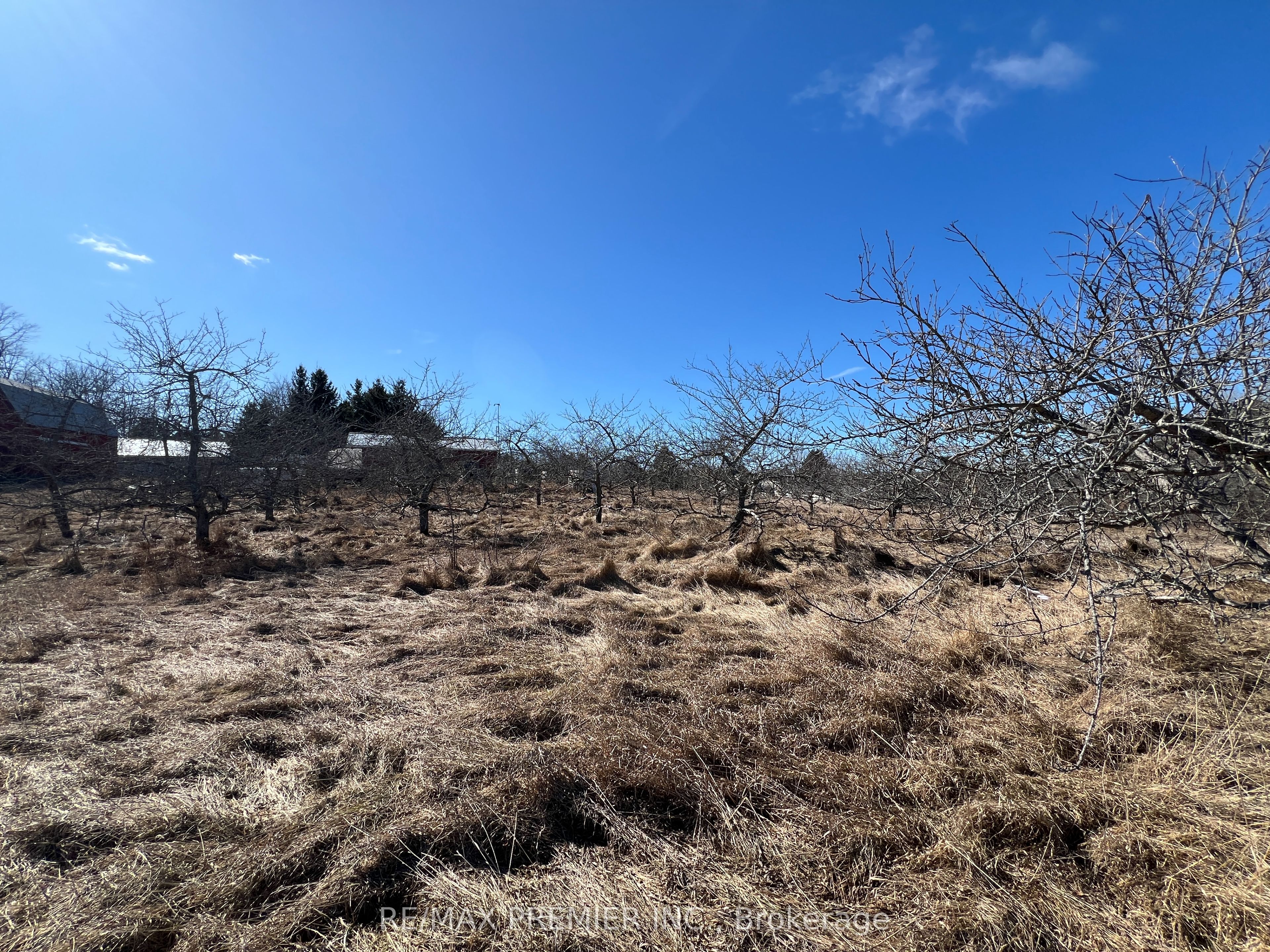 273 Peters Road Property Photo 26